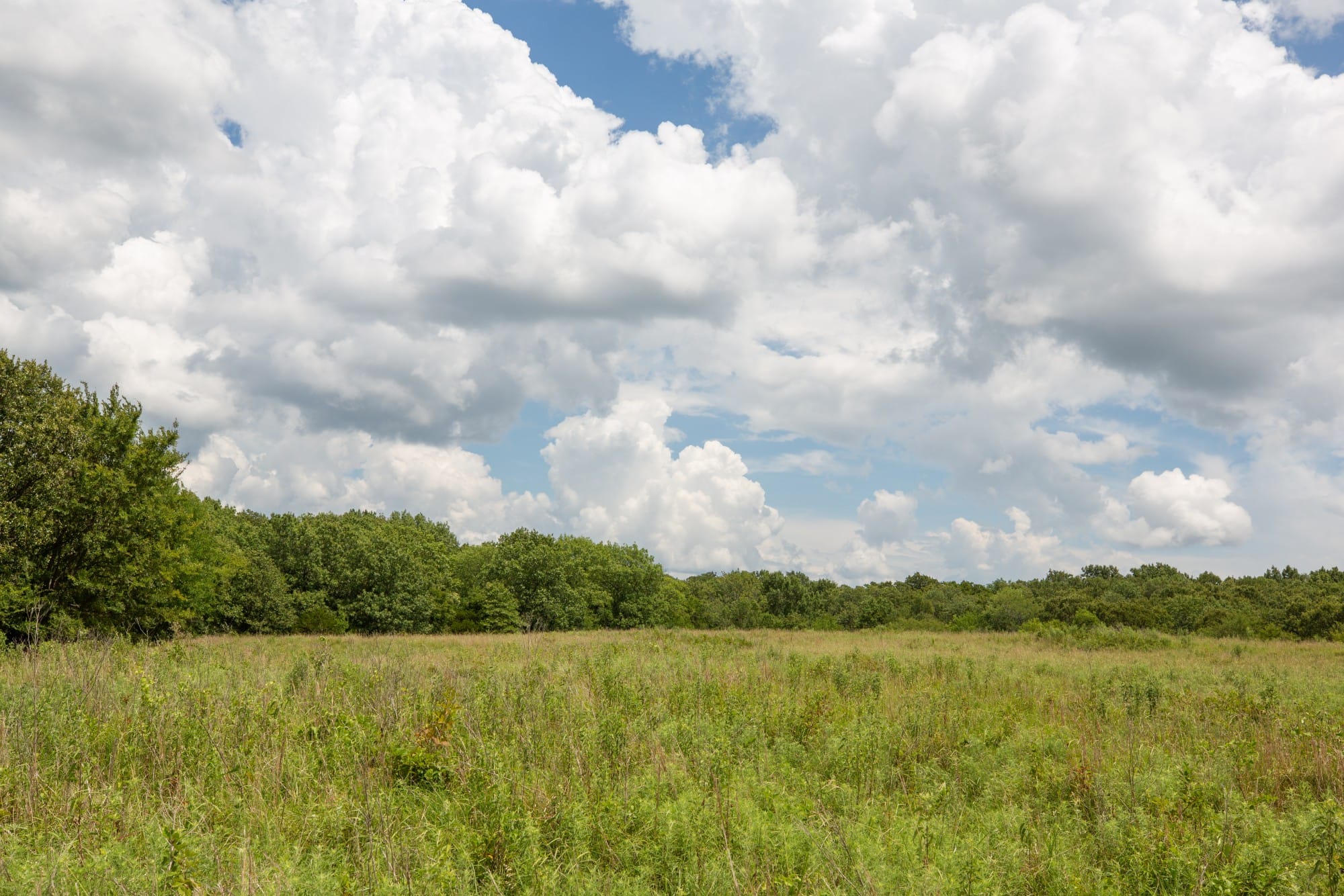 Paradise Valley Tract 10 photo 3