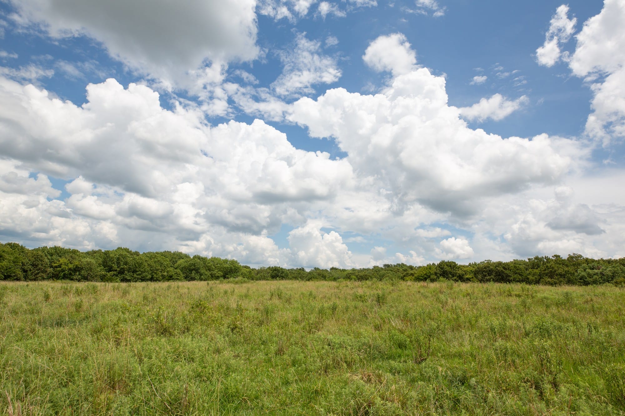 Paradise Valley Tract 10 photo 5