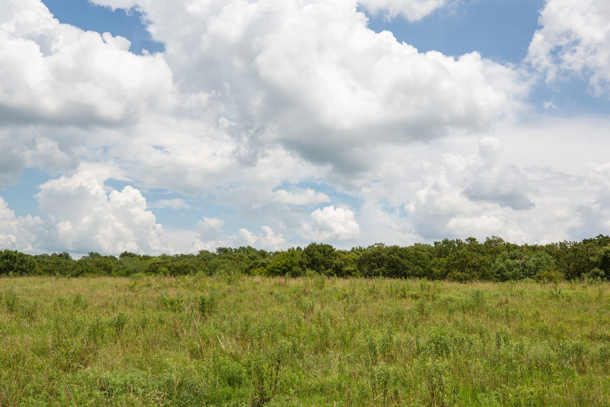 Paradise Valley Tract 10 photo 6