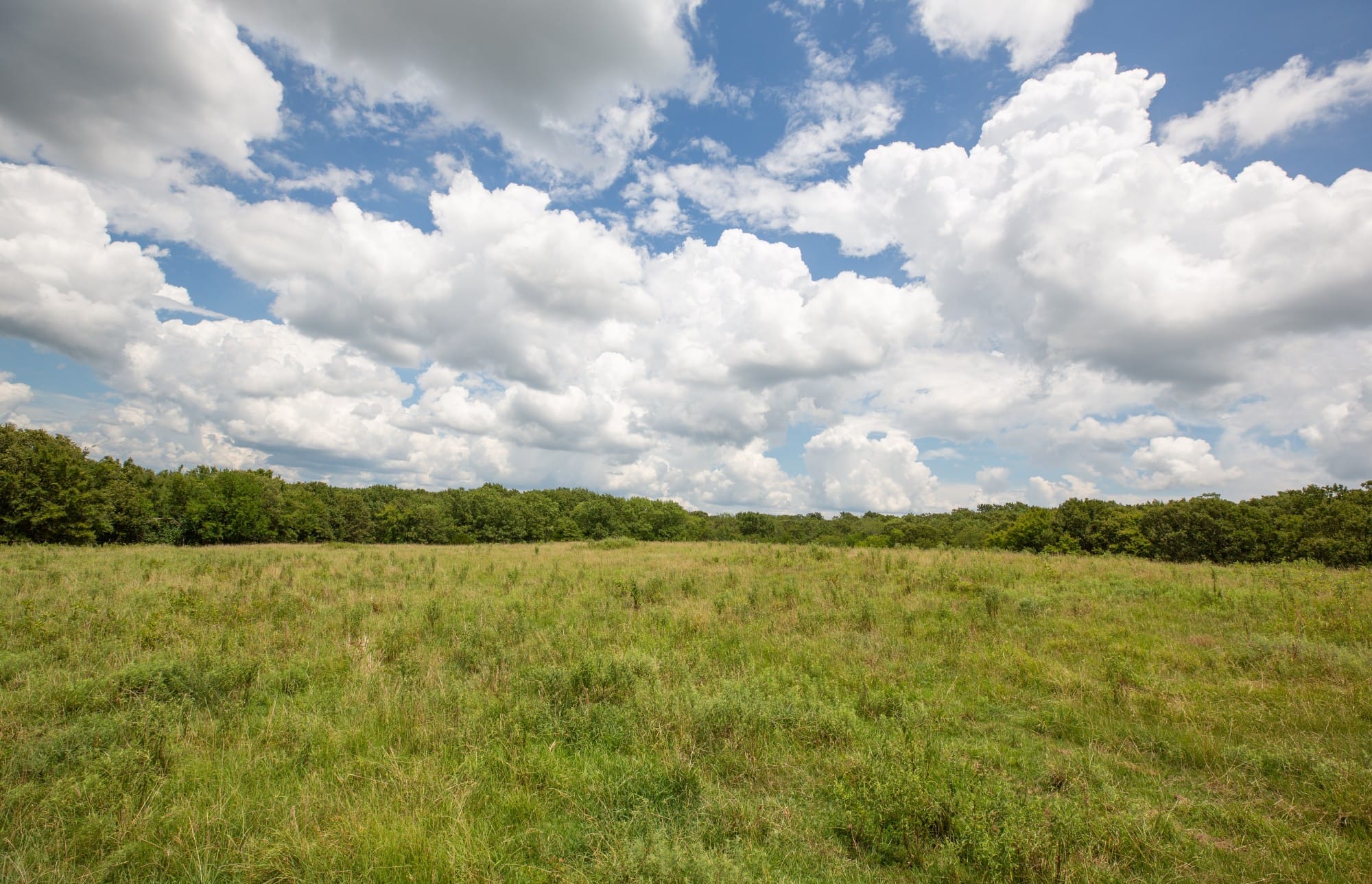 Paradise Valley Tract 10 photo 8