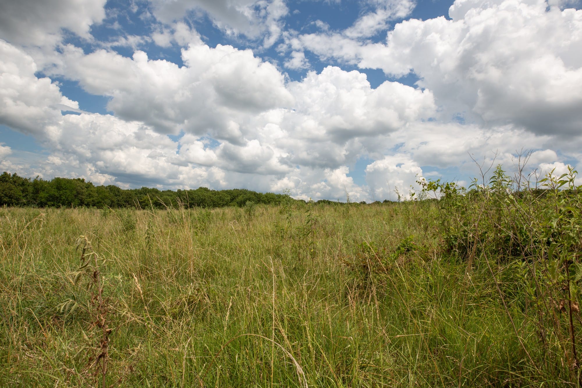 Paradise Valley Tract 10 photo 9