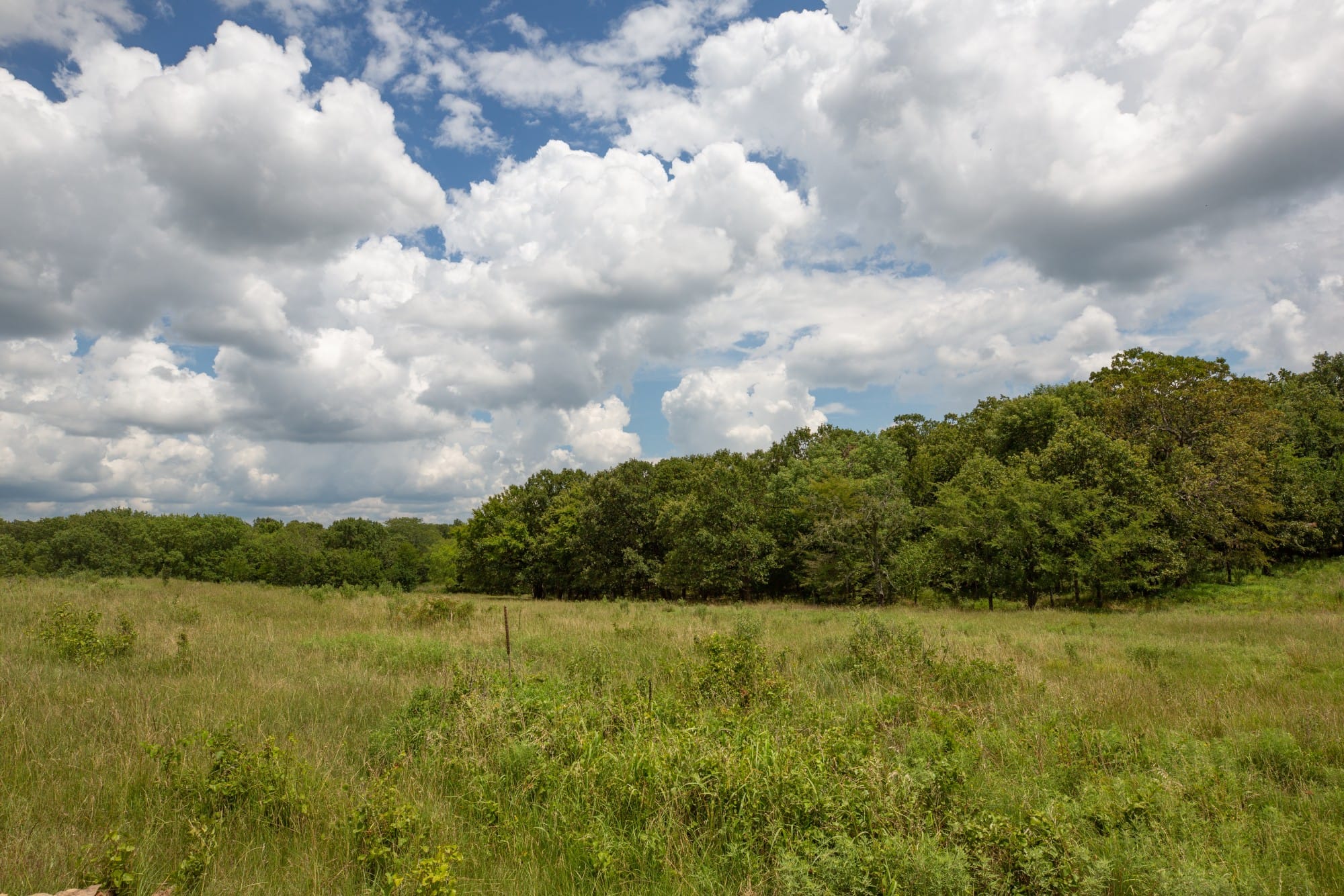 Paradise Valley Tract 10 photo 11