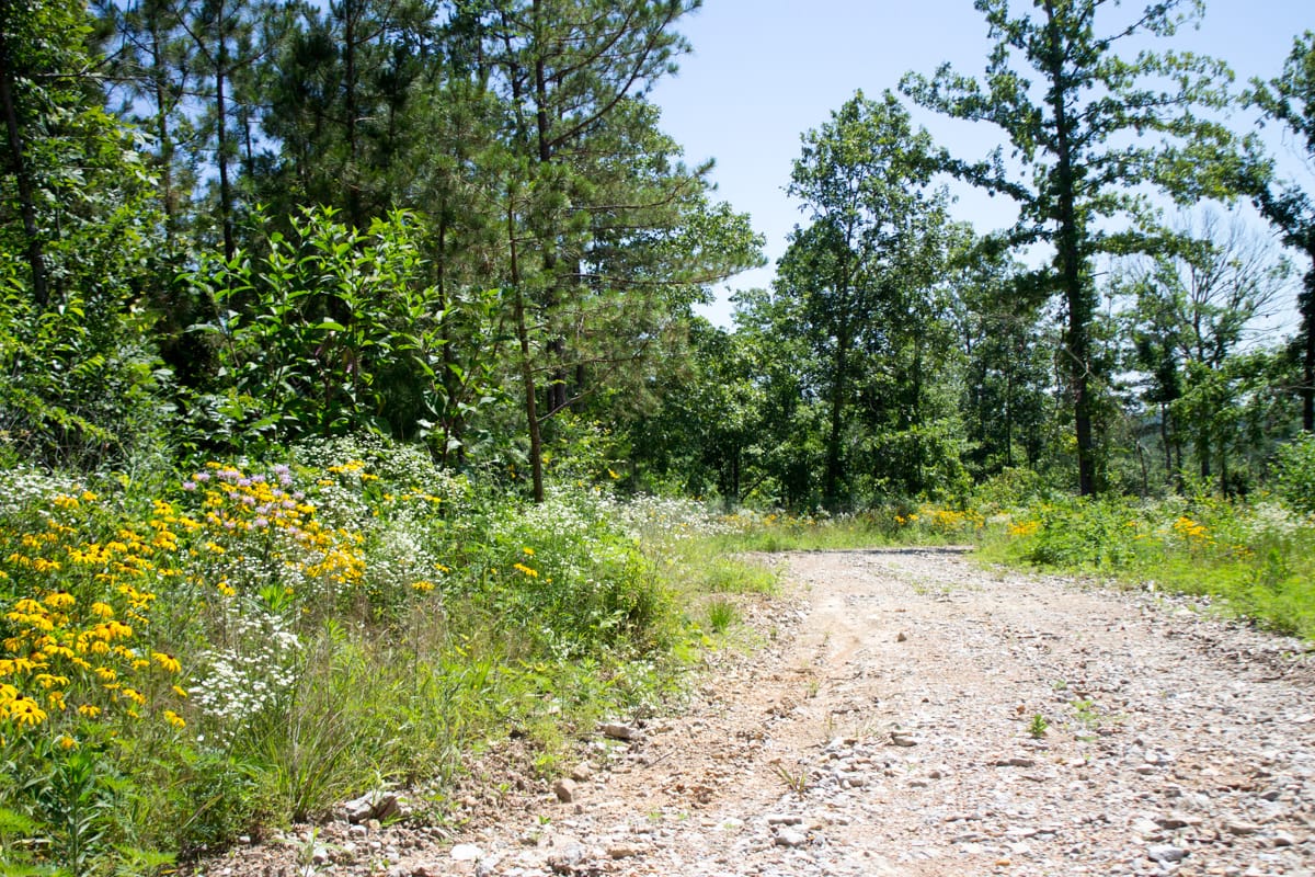 Timber Crossing Tract 9 photo 15