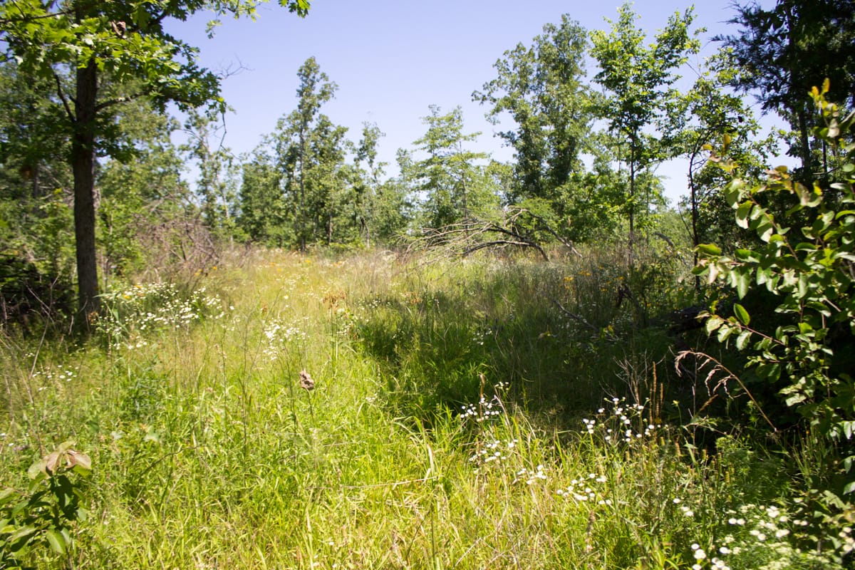 Timber Crossing Tract 9 photo 17