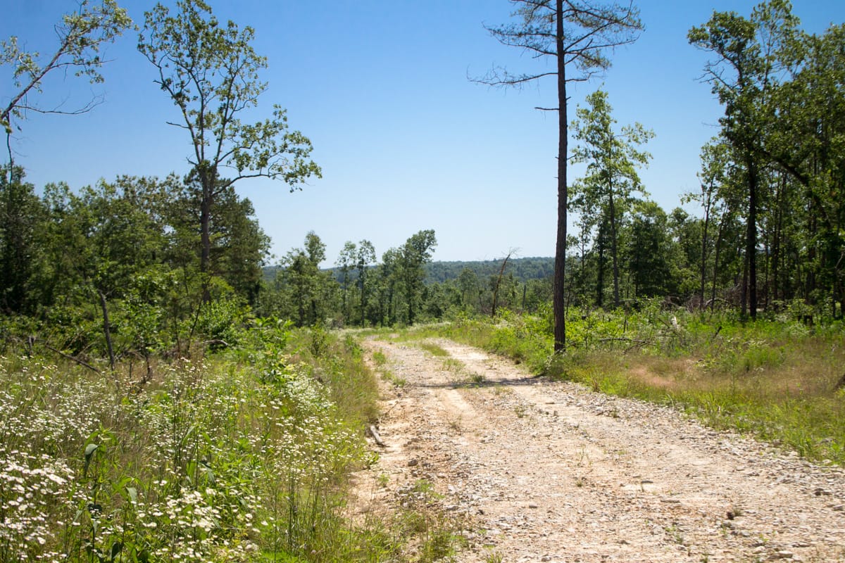 Timber Crossing Tract 9 photo 25