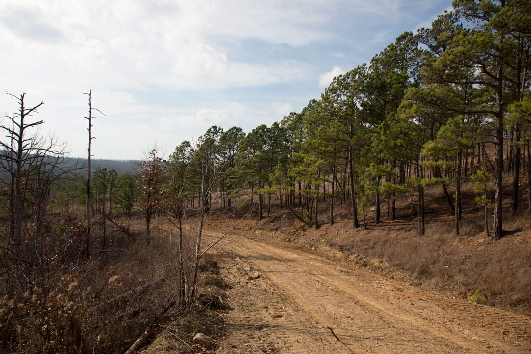 Stone Creek Phase III Tract 73 photo 2