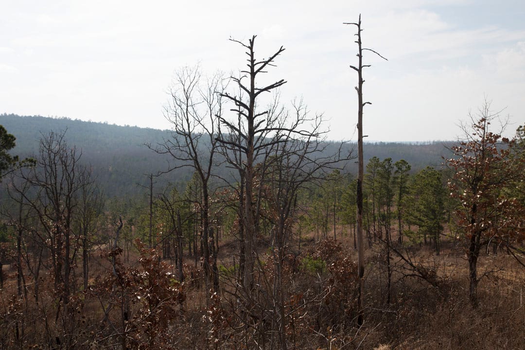 Stone Creek Phase III Tract 73 photo 3