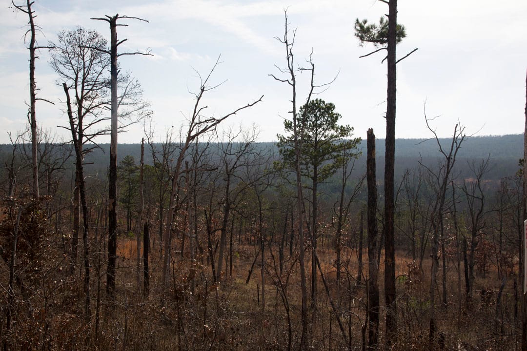 Stone Creek Phase III Tract 73 photo 4