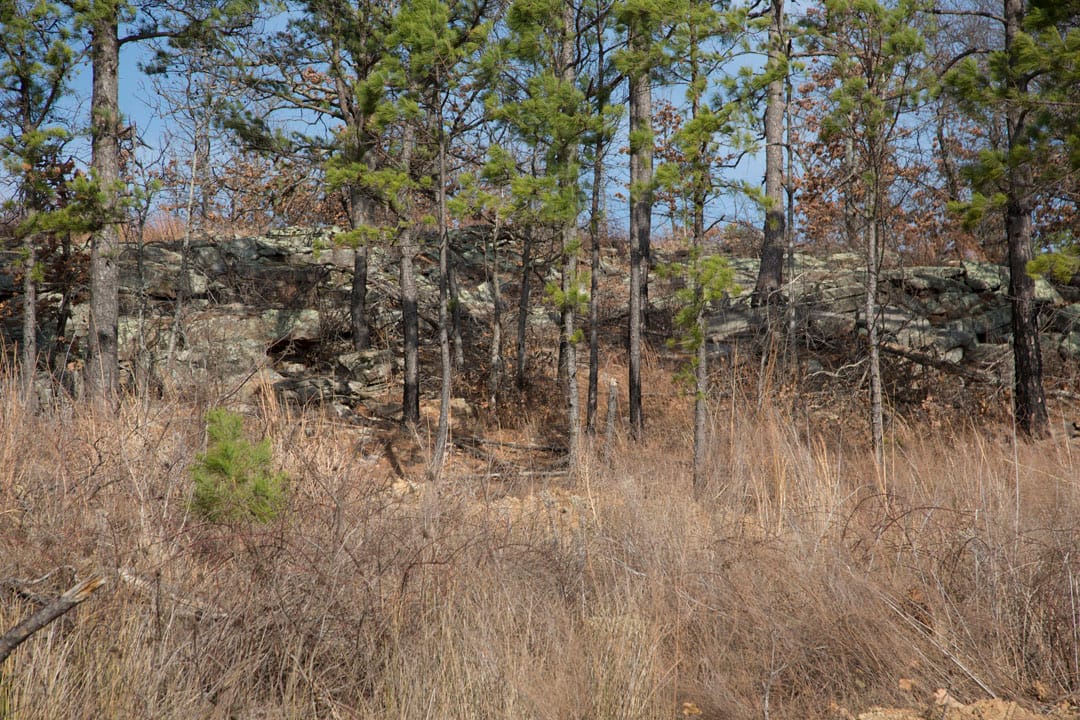 Stone Creek Phase III Tract 73 photo 6
