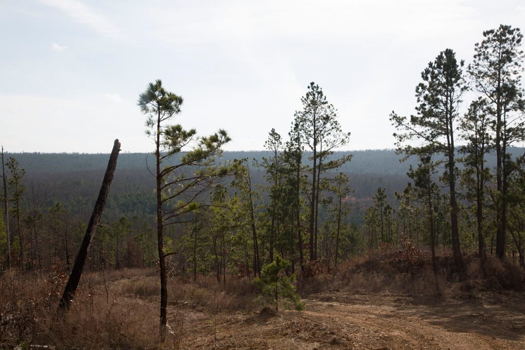 Stone Creek Phase III Tract 73 photo 7