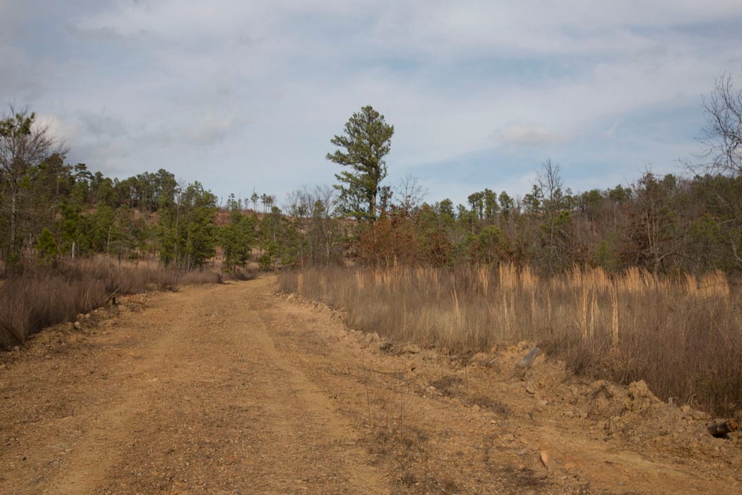 Stone Creek Phase III Tract 73 photo 10