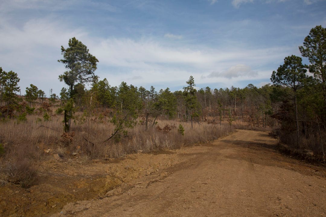 Stone Creek Phase III Tract 73 photo 13