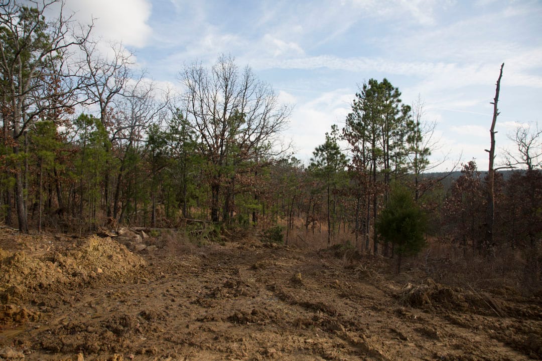 Stone Creek Phase III Tract 73 photo 14