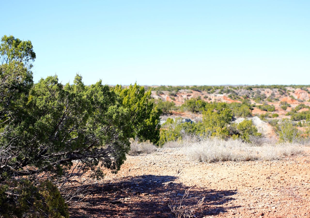 Red Rock Ranch Tract 16 photo 1