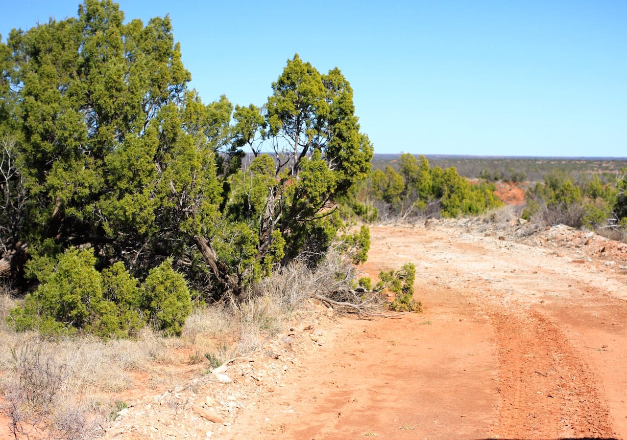 Red Rock Ranch Tract 16 photo 3