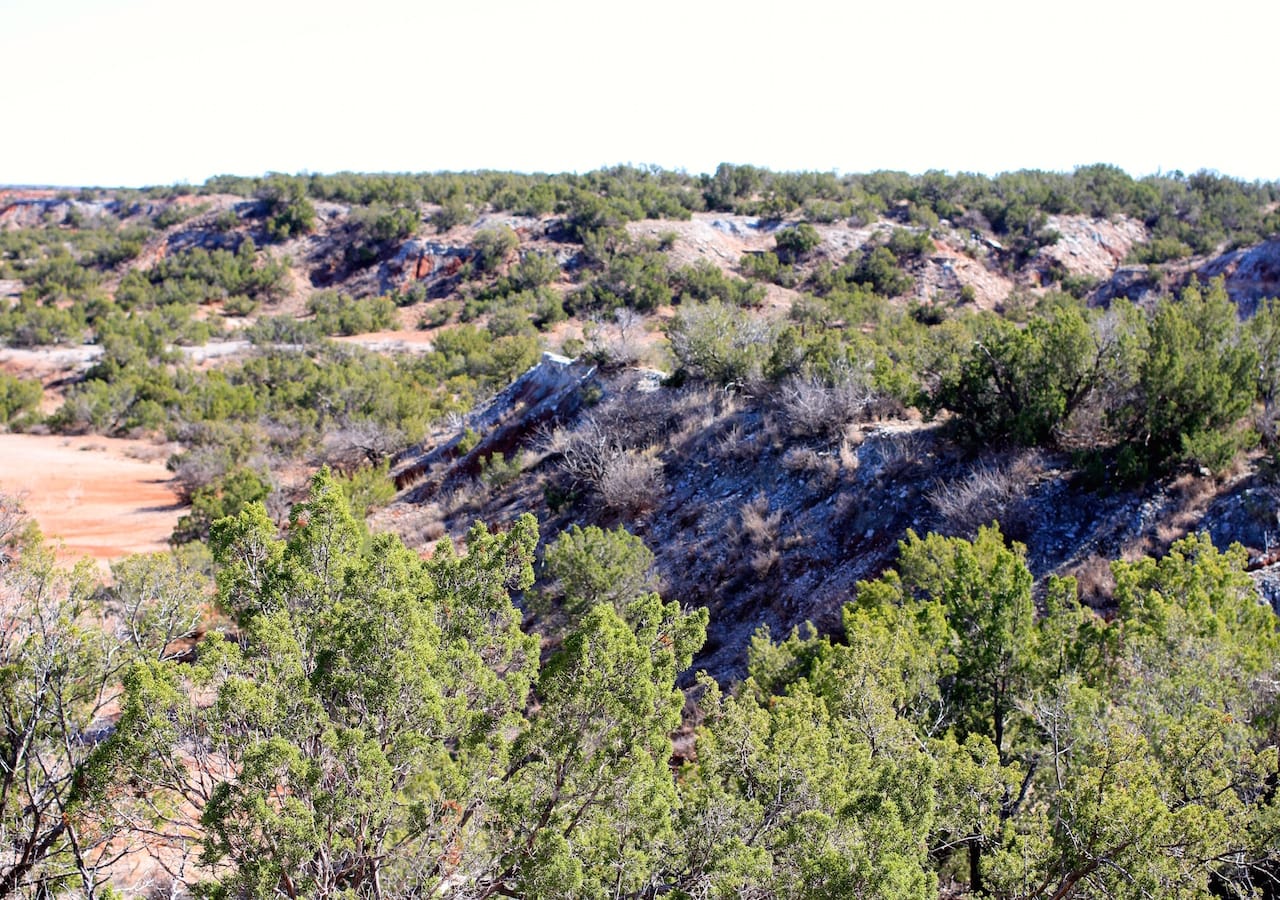 Red Rock Ranch Tract 16 photo 4