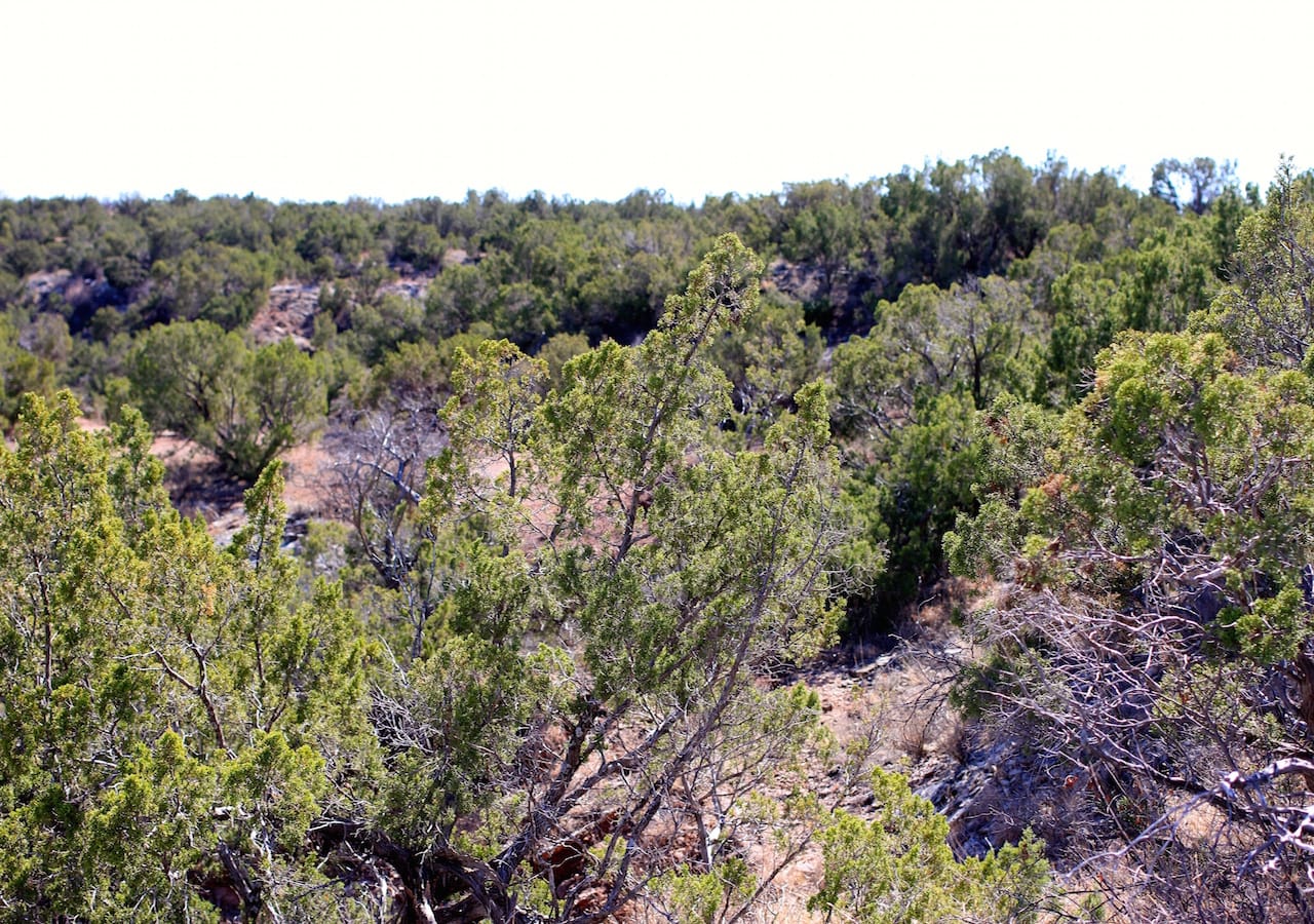 Red Rock Ranch Tract 16 photo 5