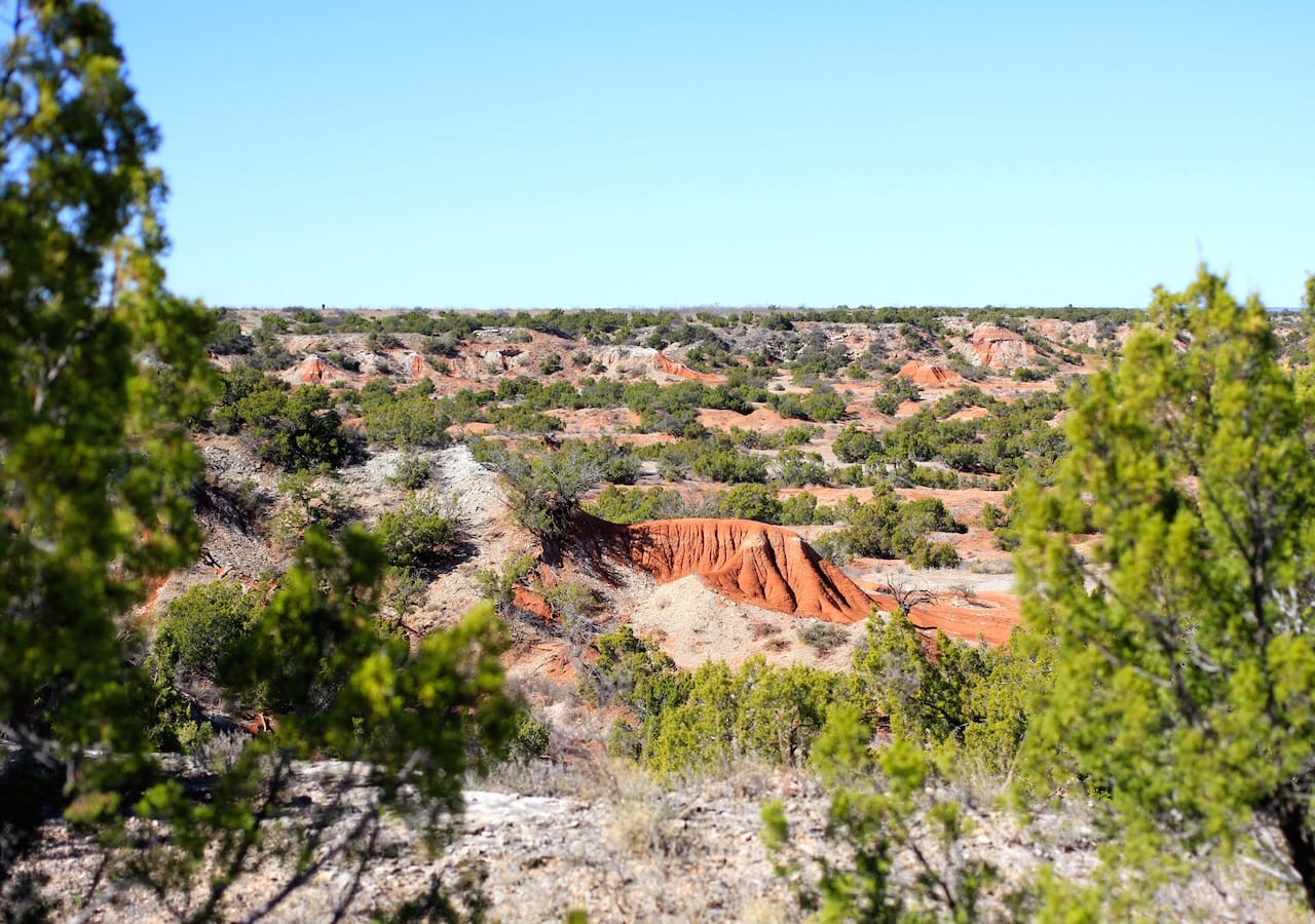 Red Rock Ranch Tract 16 photo 6