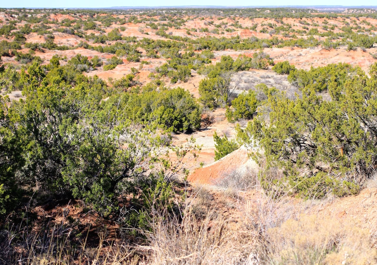Red Rock Ranch Tract 16 photo 7