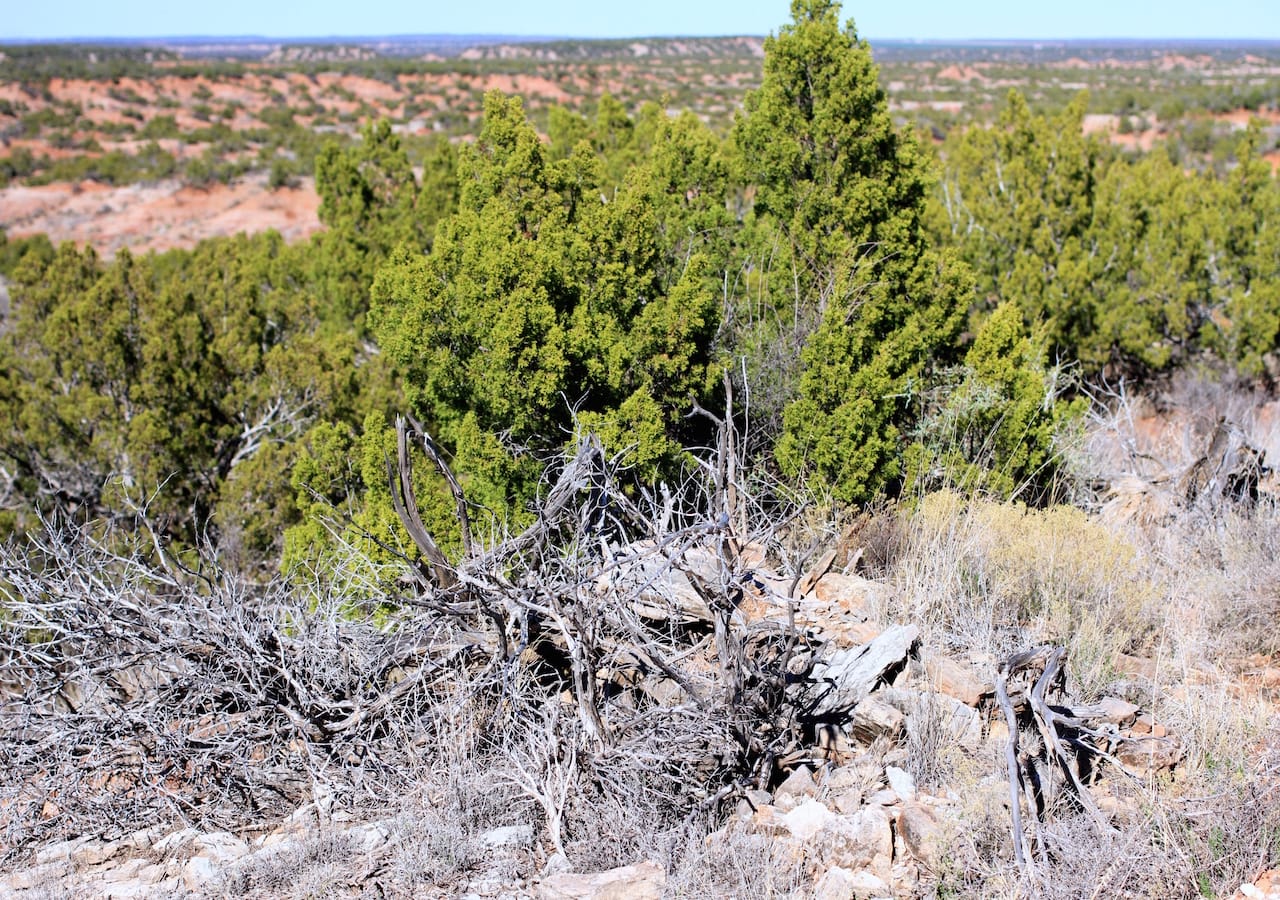 Red Rock Ranch Tract 16 photo 8