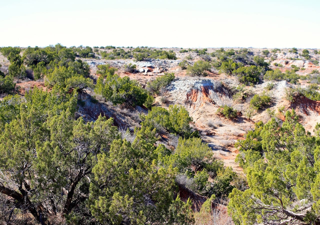 Red Rock Ranch Tract 16 photo 9