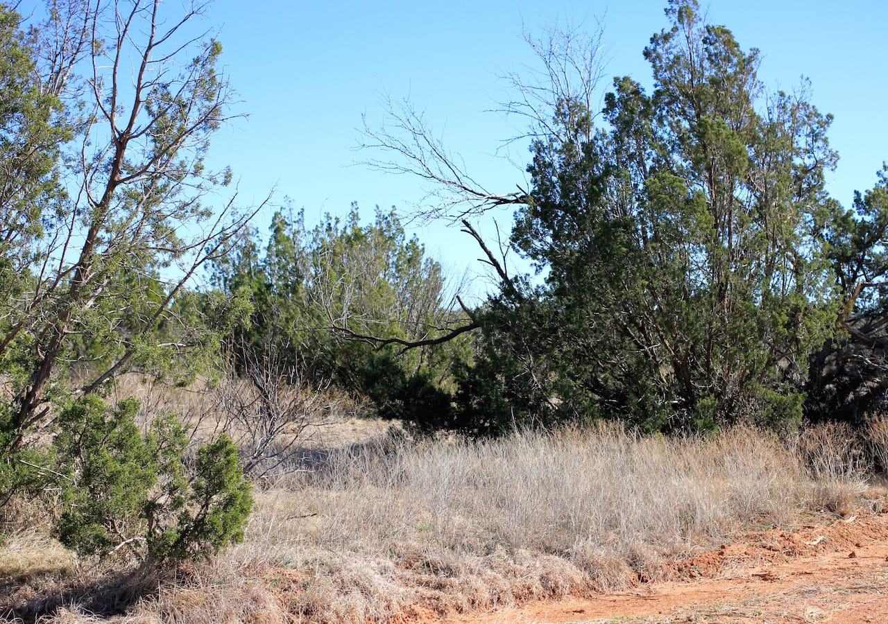 Red Rock Ranch Tract 16 photo 18
