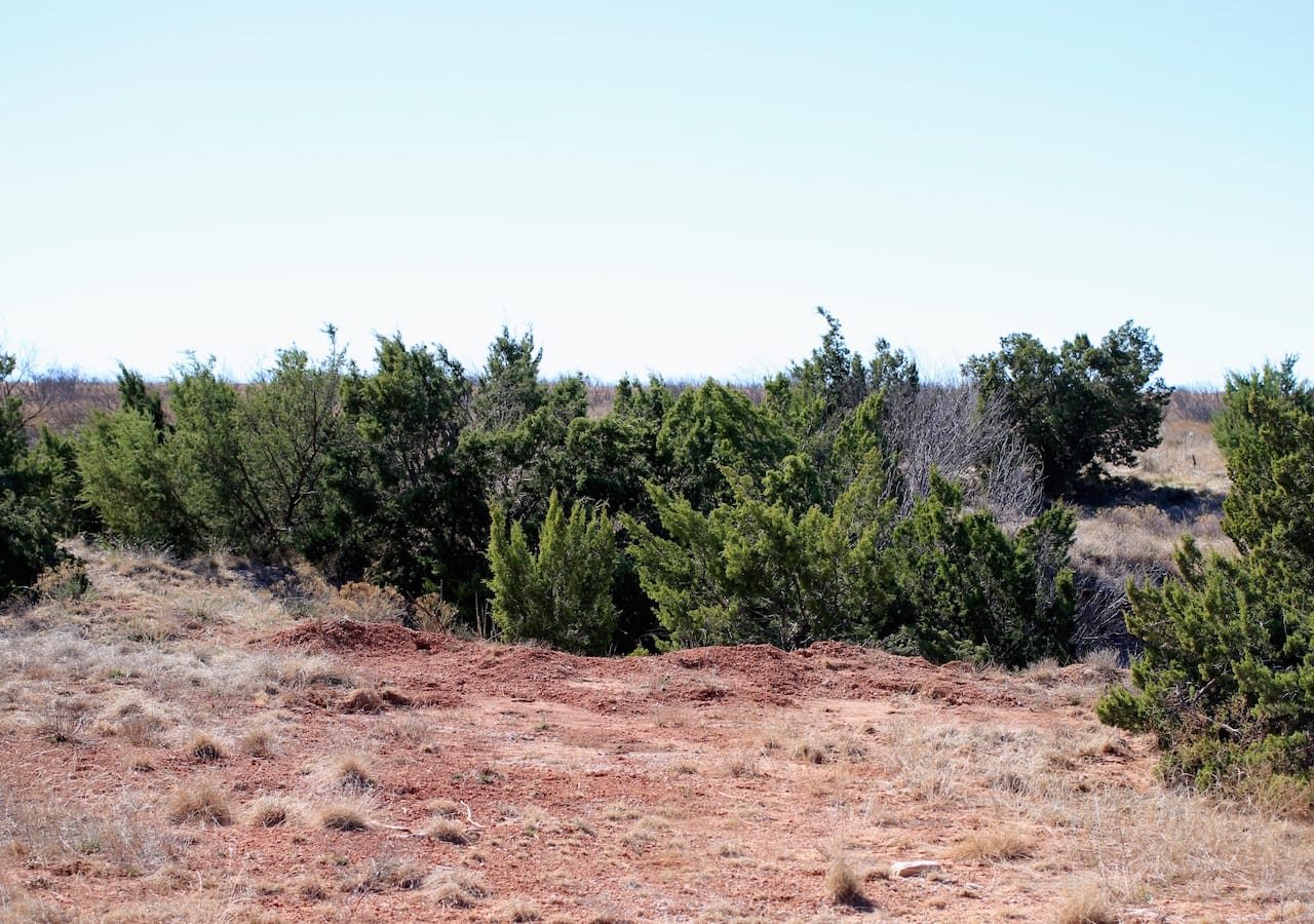 Red Rock Ranch Tract 16 photo 19