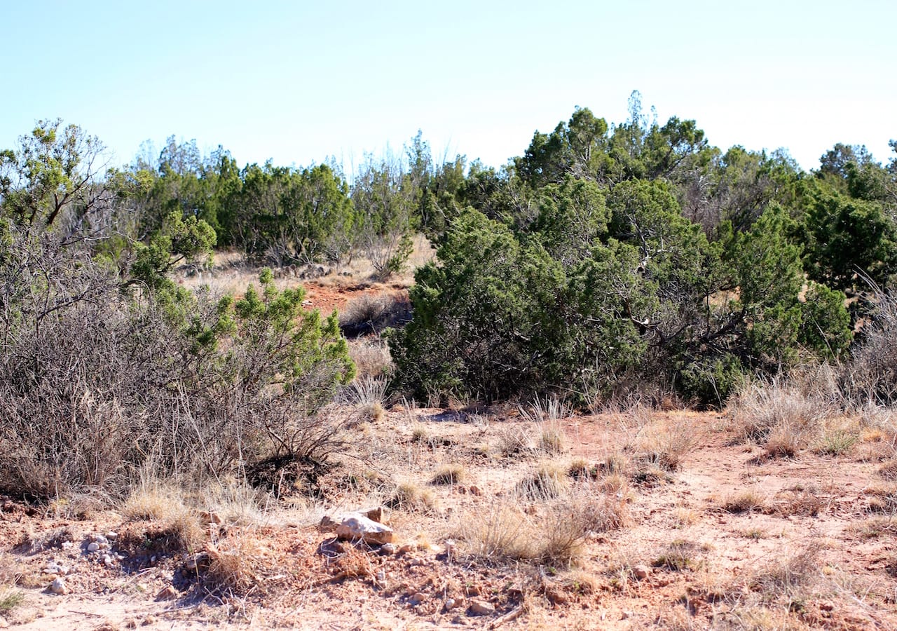 Red Rock Ranch Tract 16 photo 25