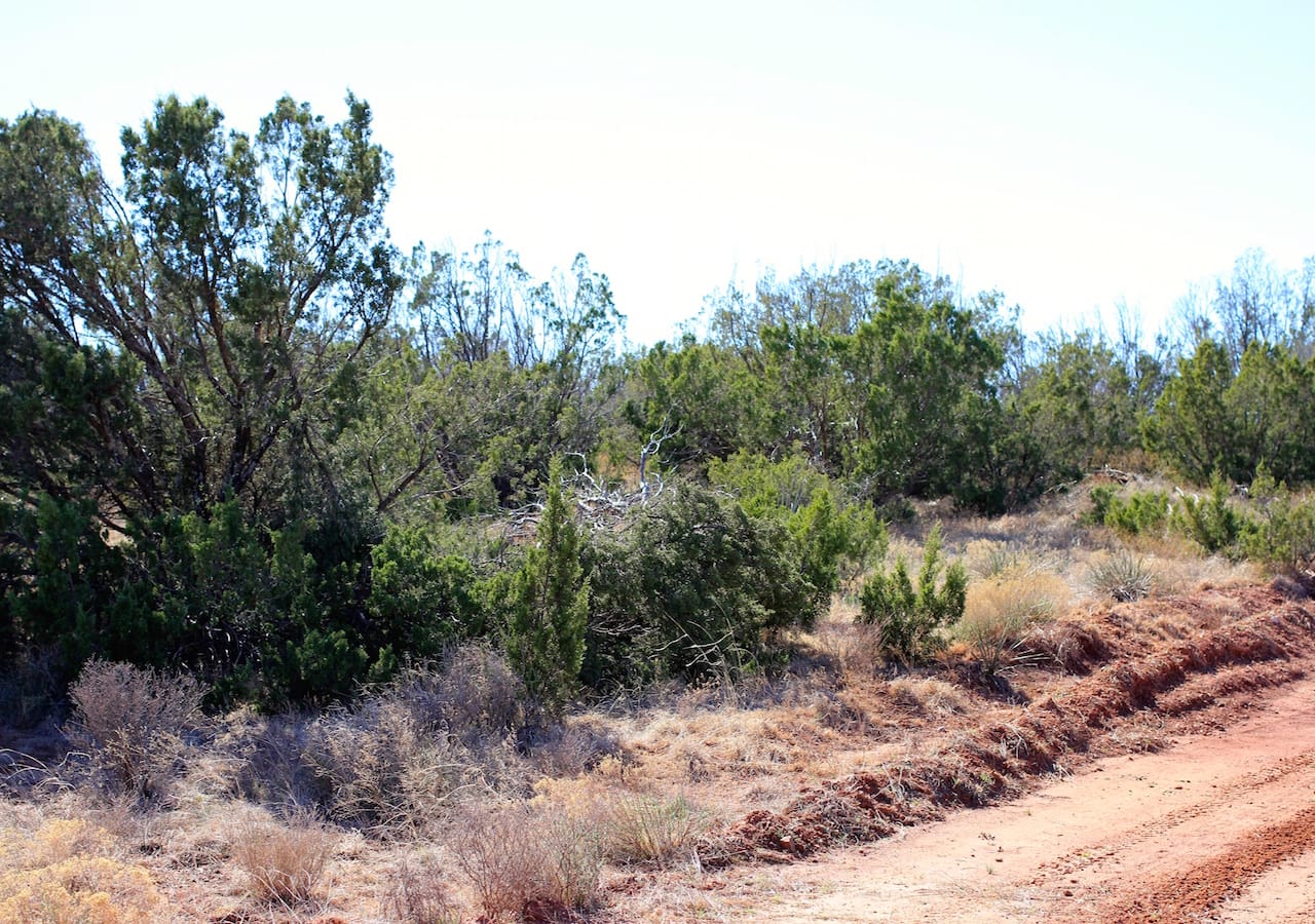 Red Rock Ranch Tract 16 photo 26