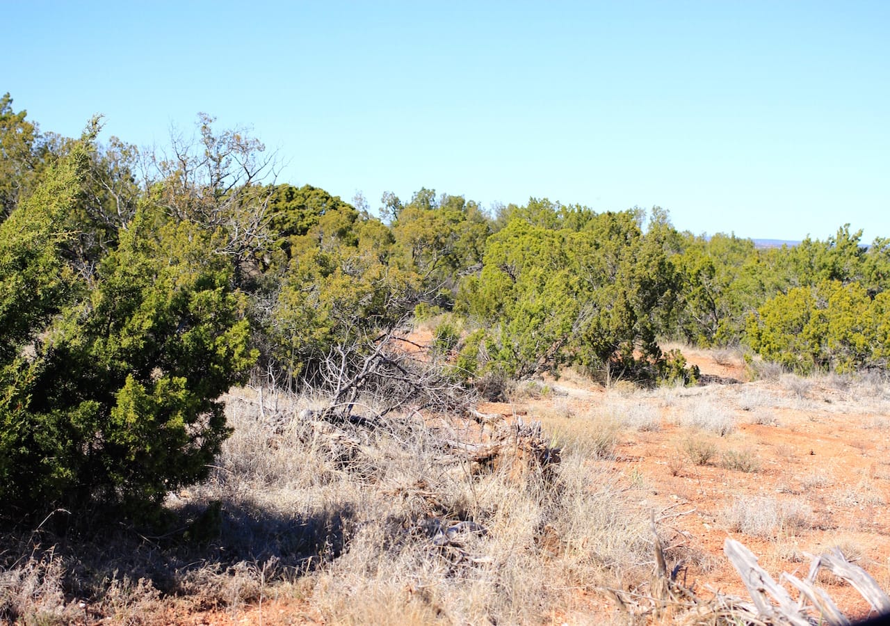 Red Rock Ranch Tract 16 photo 27