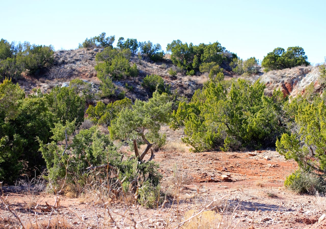 Red Rock Ranch Tract 16 photo 29