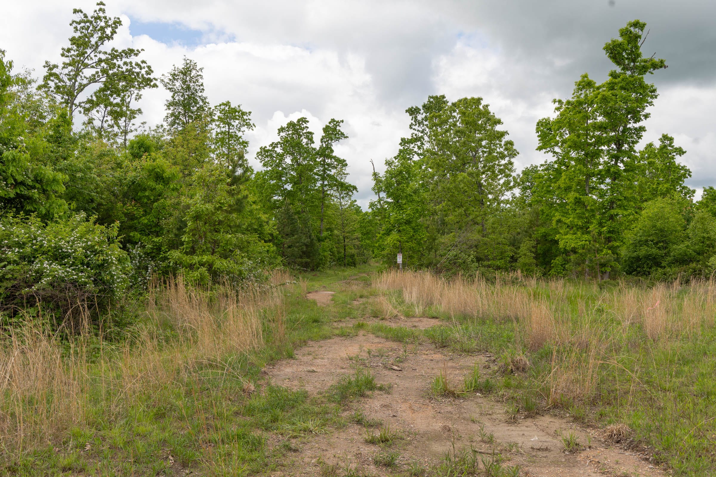 Sleepy Hollow Phase II Tract 73 photo 10