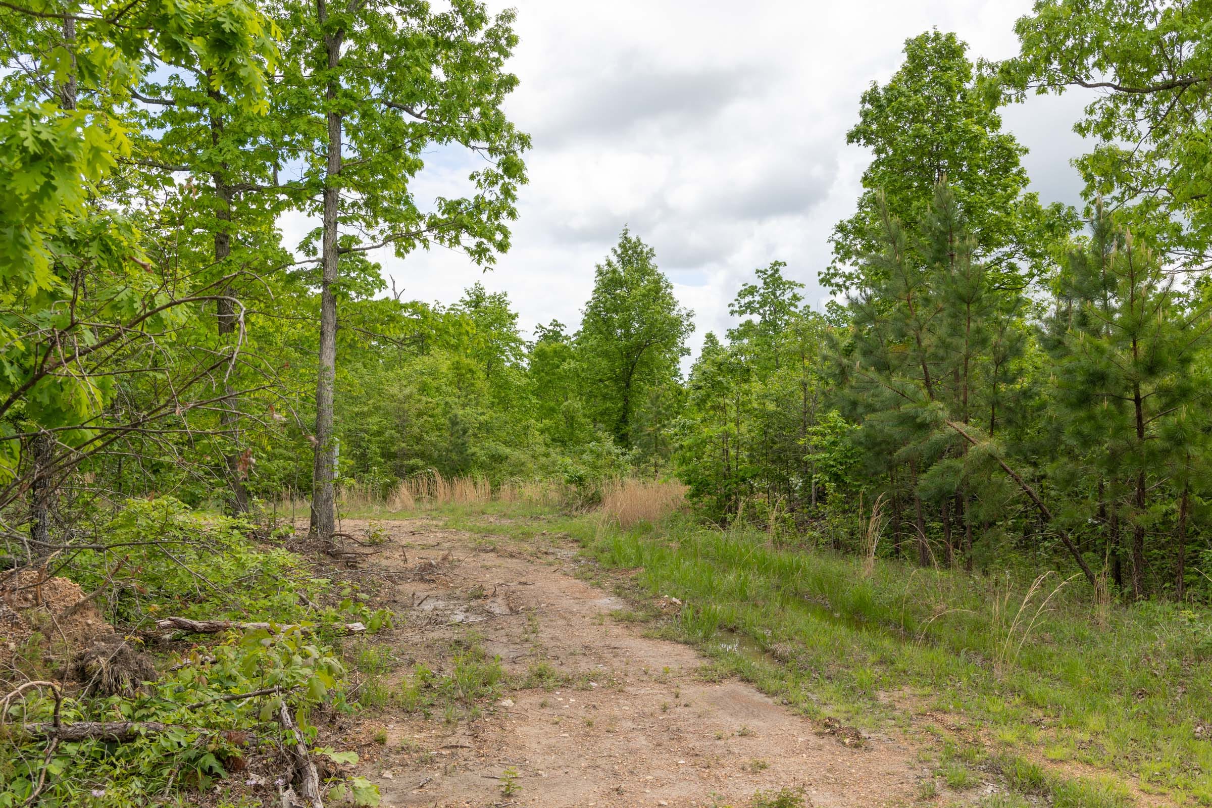 Sleepy Hollow Phase II Tract 73 photo 2