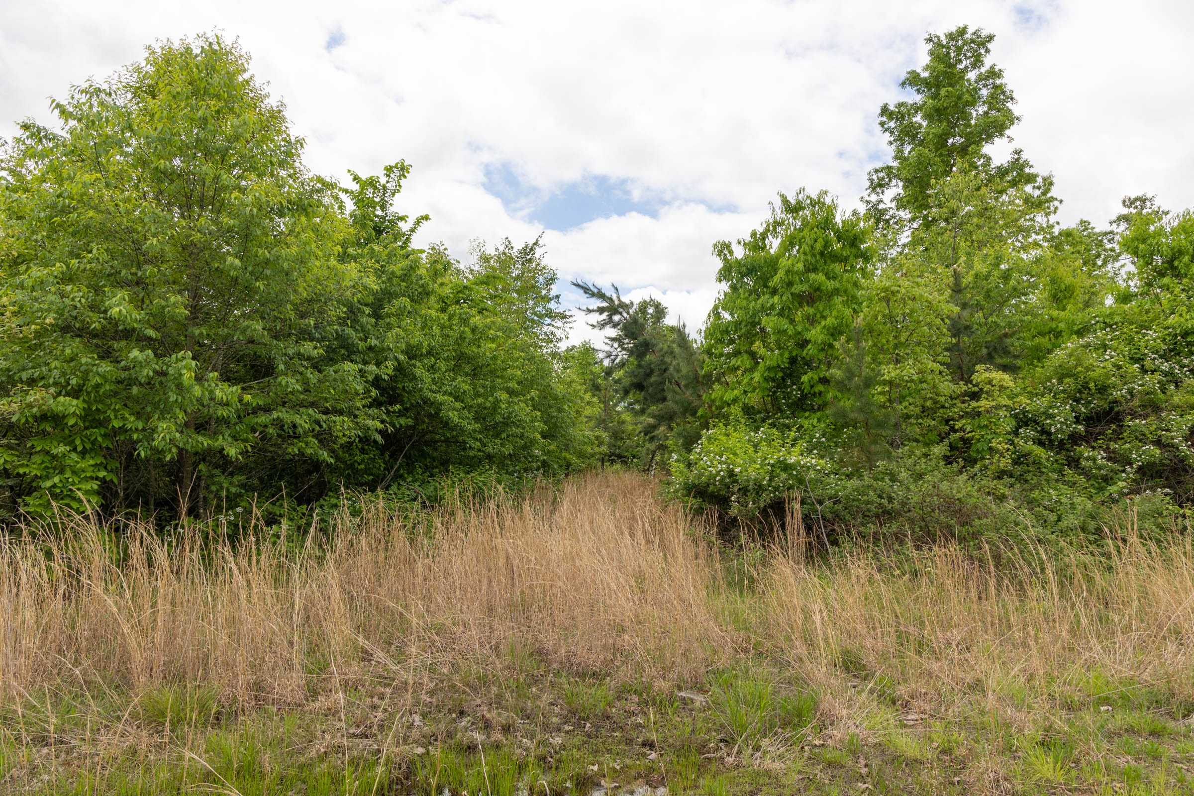 Sleepy Hollow Phase II Tract 73 photo 14