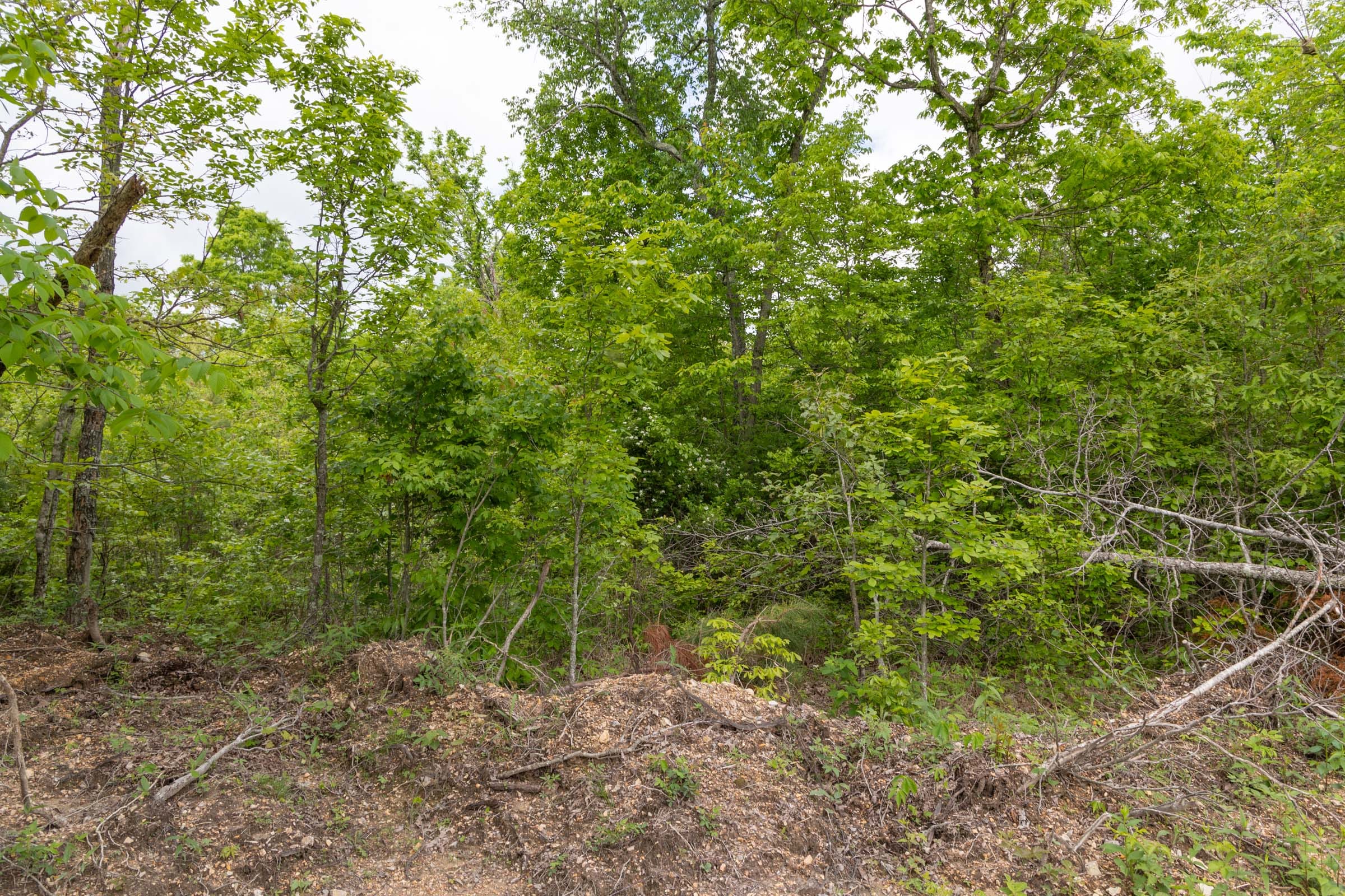 Sleepy Hollow Phase II Tract 73 photo 13