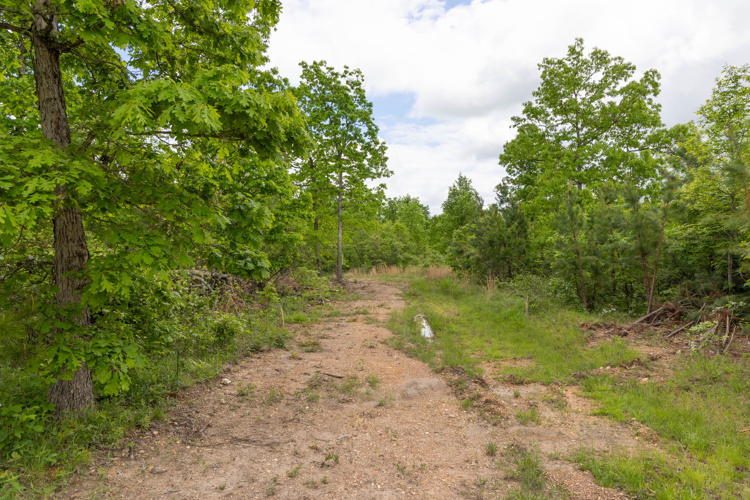 Sleepy Hollow Phase II Tract 73 photo 12