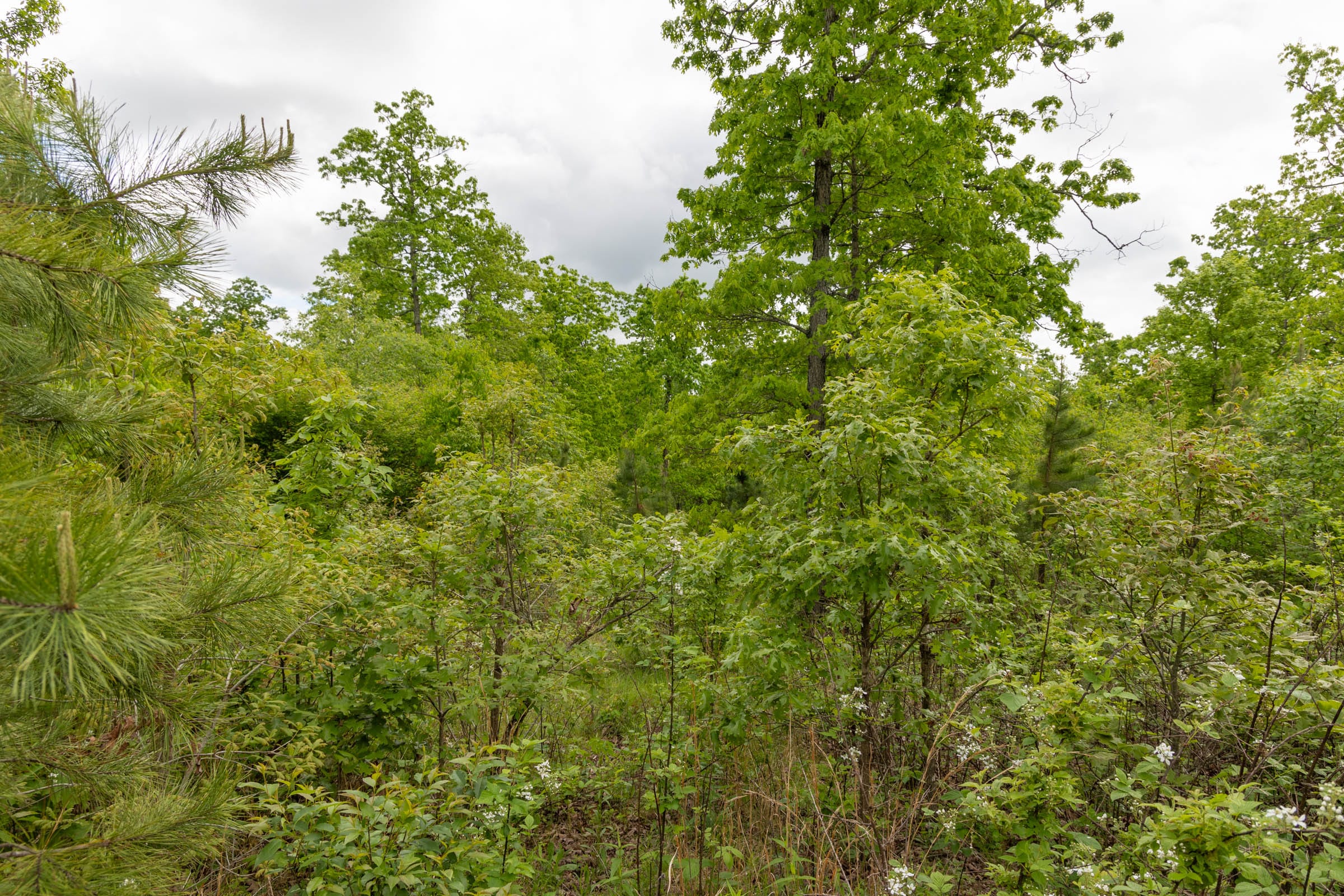 Sleepy Hollow Phase II Tract 73 photo 11
