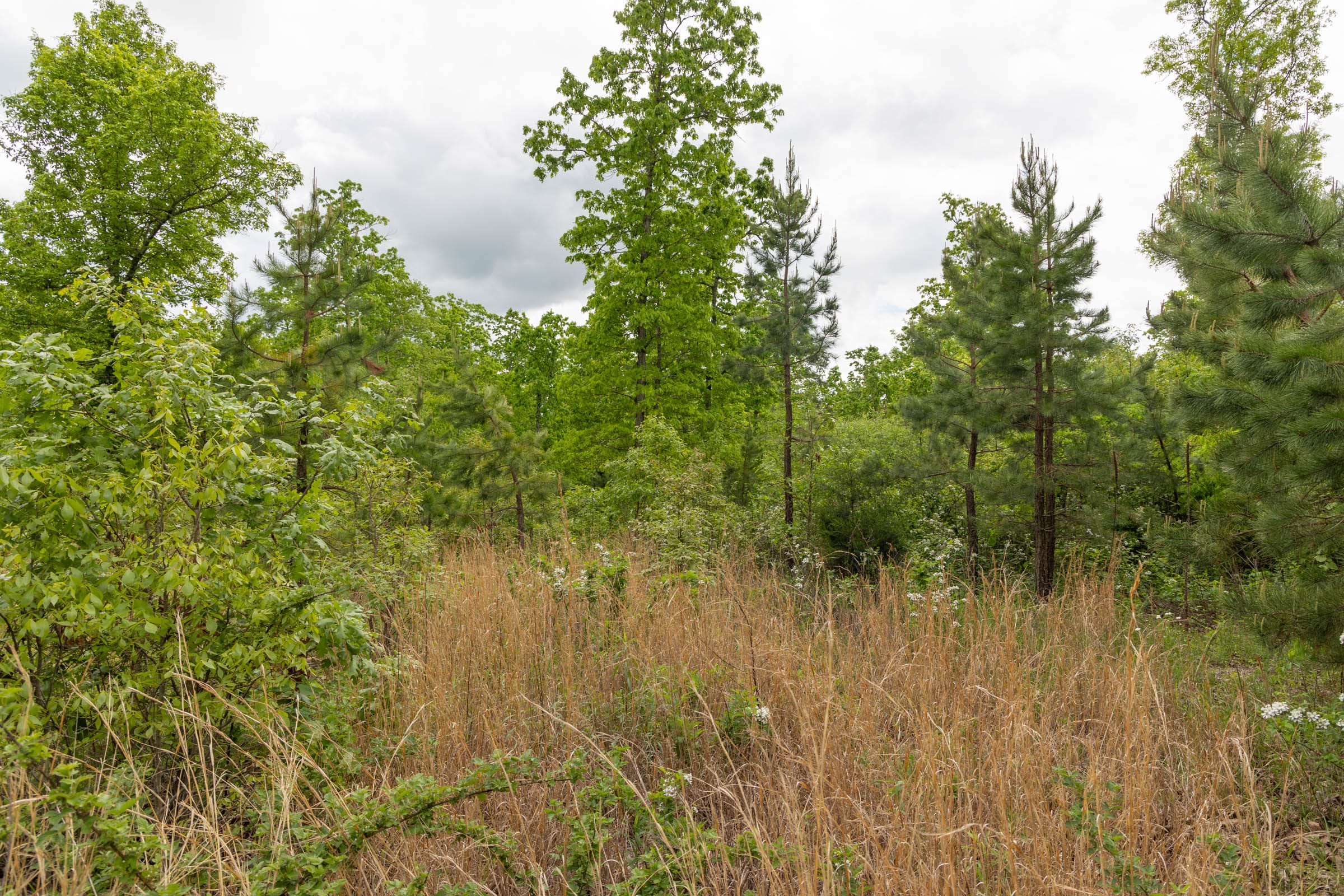 Sleepy Hollow Phase II Tract 73 photo 9