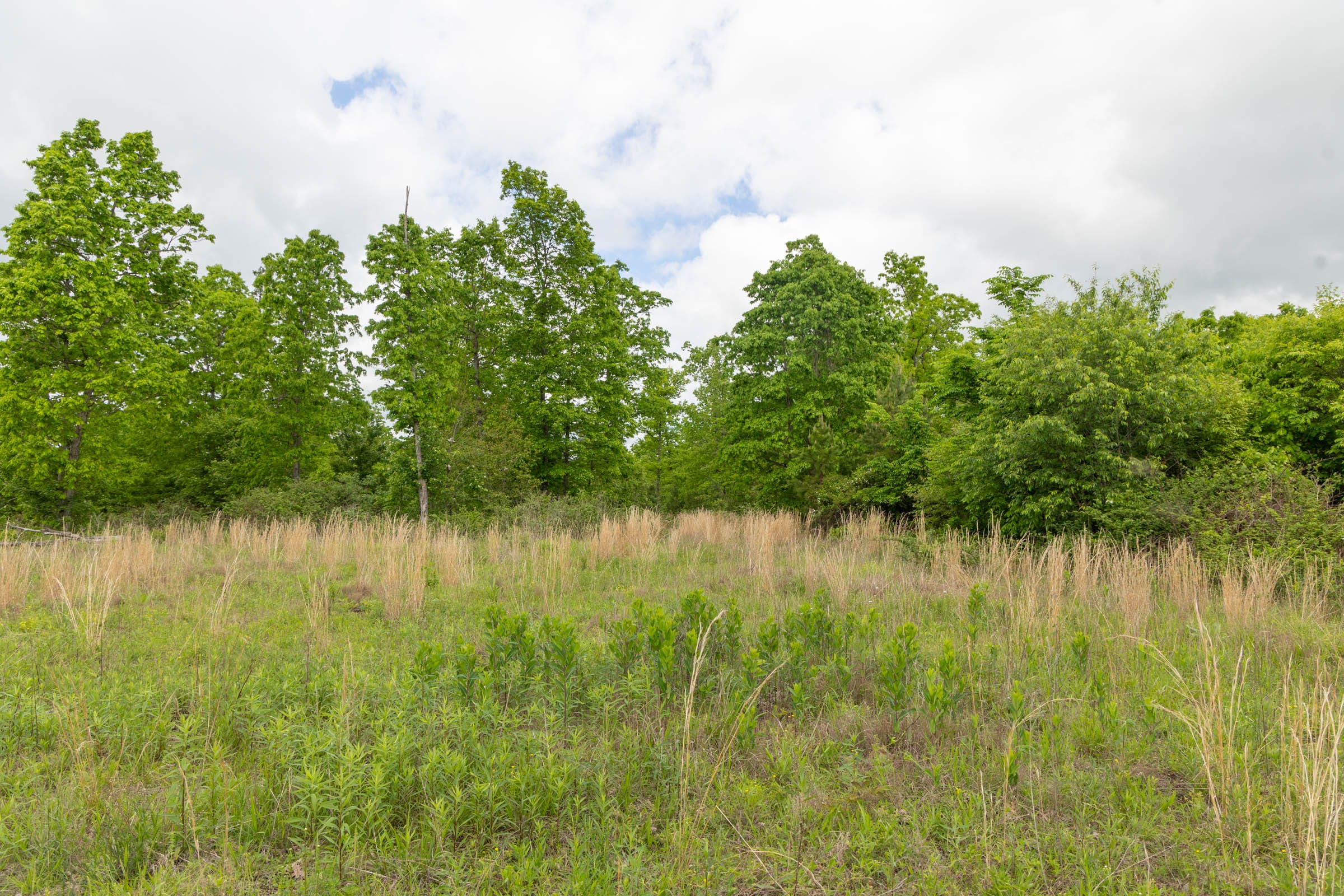 Sleepy Hollow Phase II Tract 73 photo 1