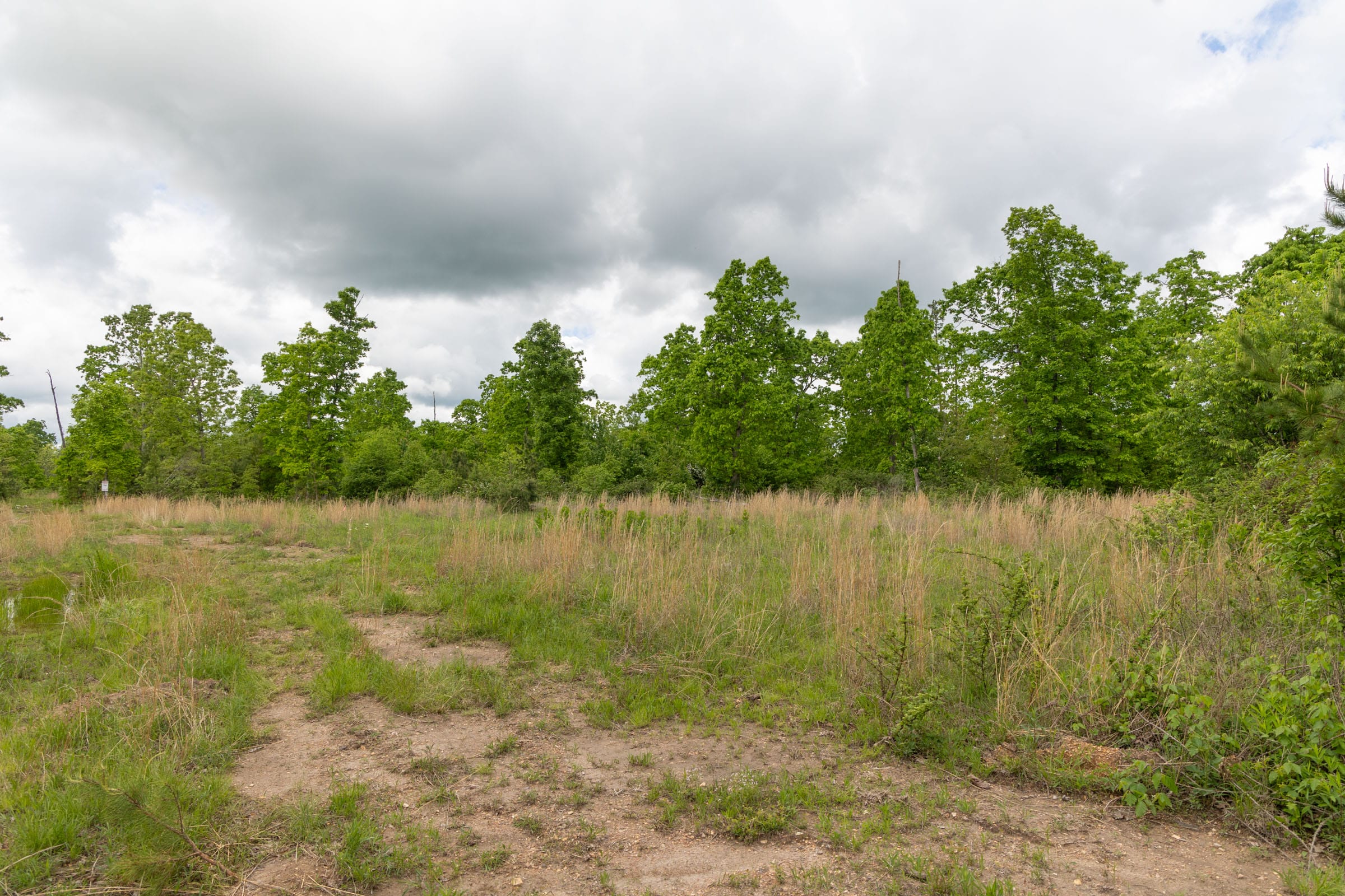 Sleepy Hollow Phase II Tract 73 photo 6