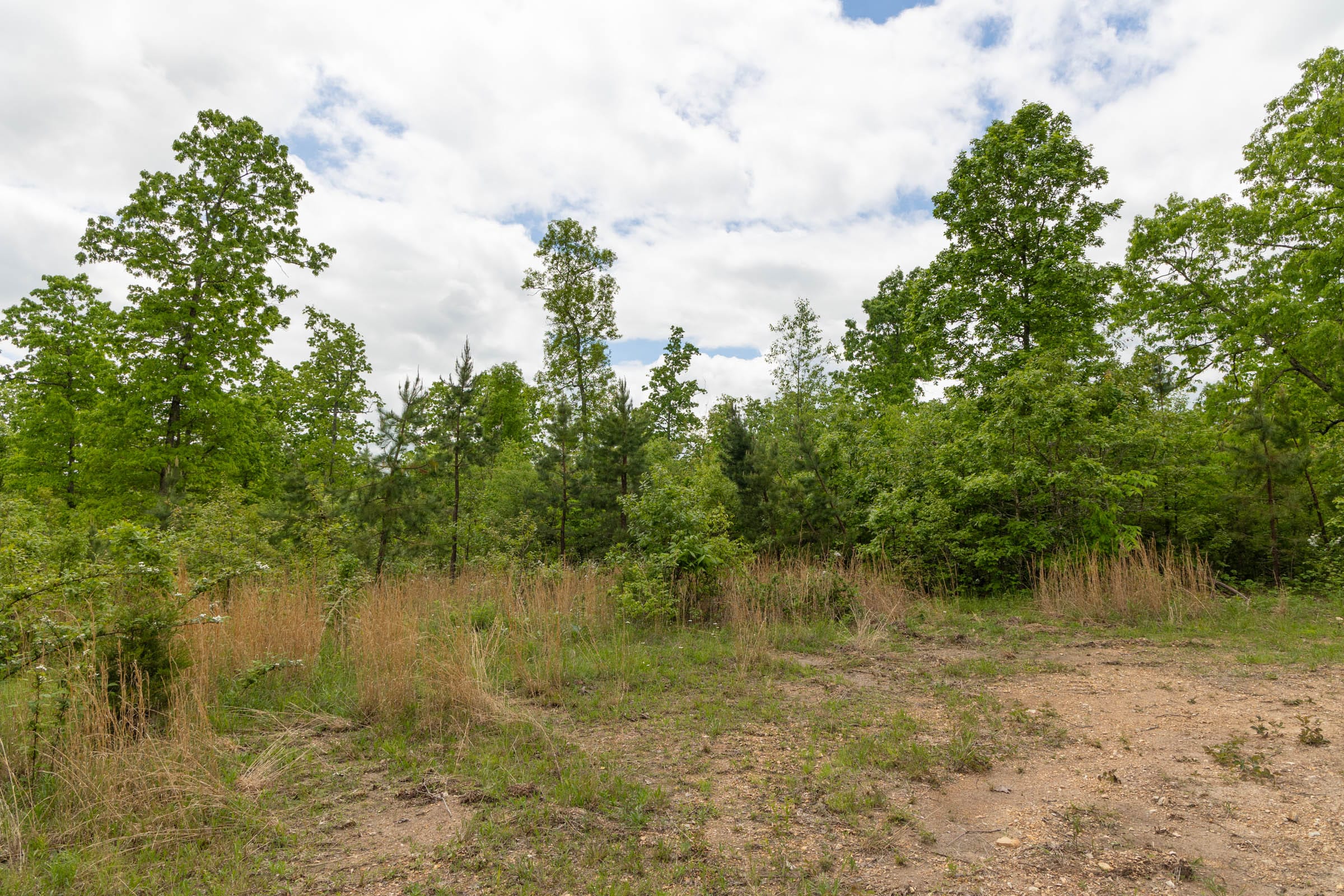 Sleepy Hollow Phase II Tract 73 photo 4
