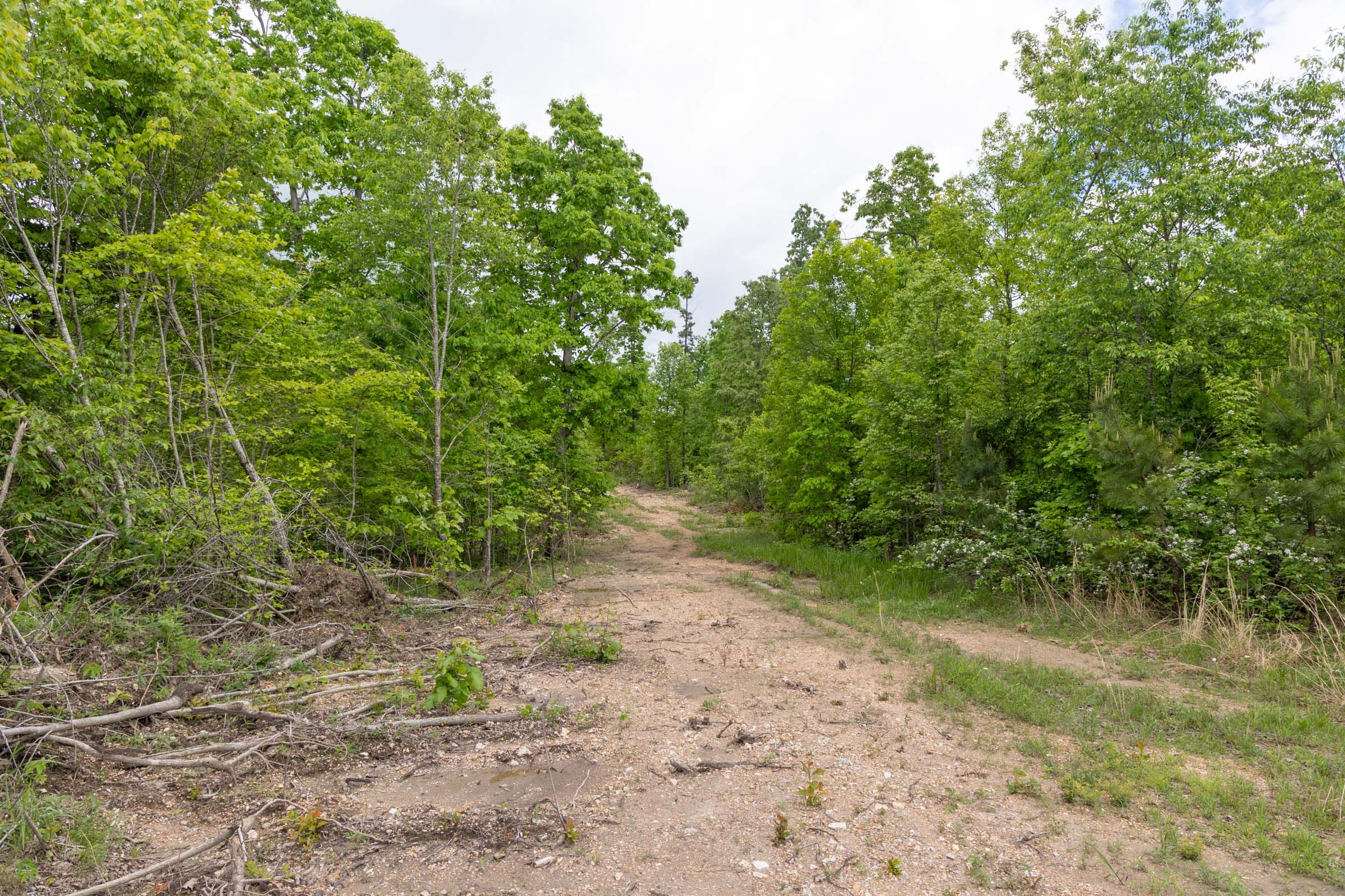 Sleepy Hollow Phase II Tract 73 photo 15
