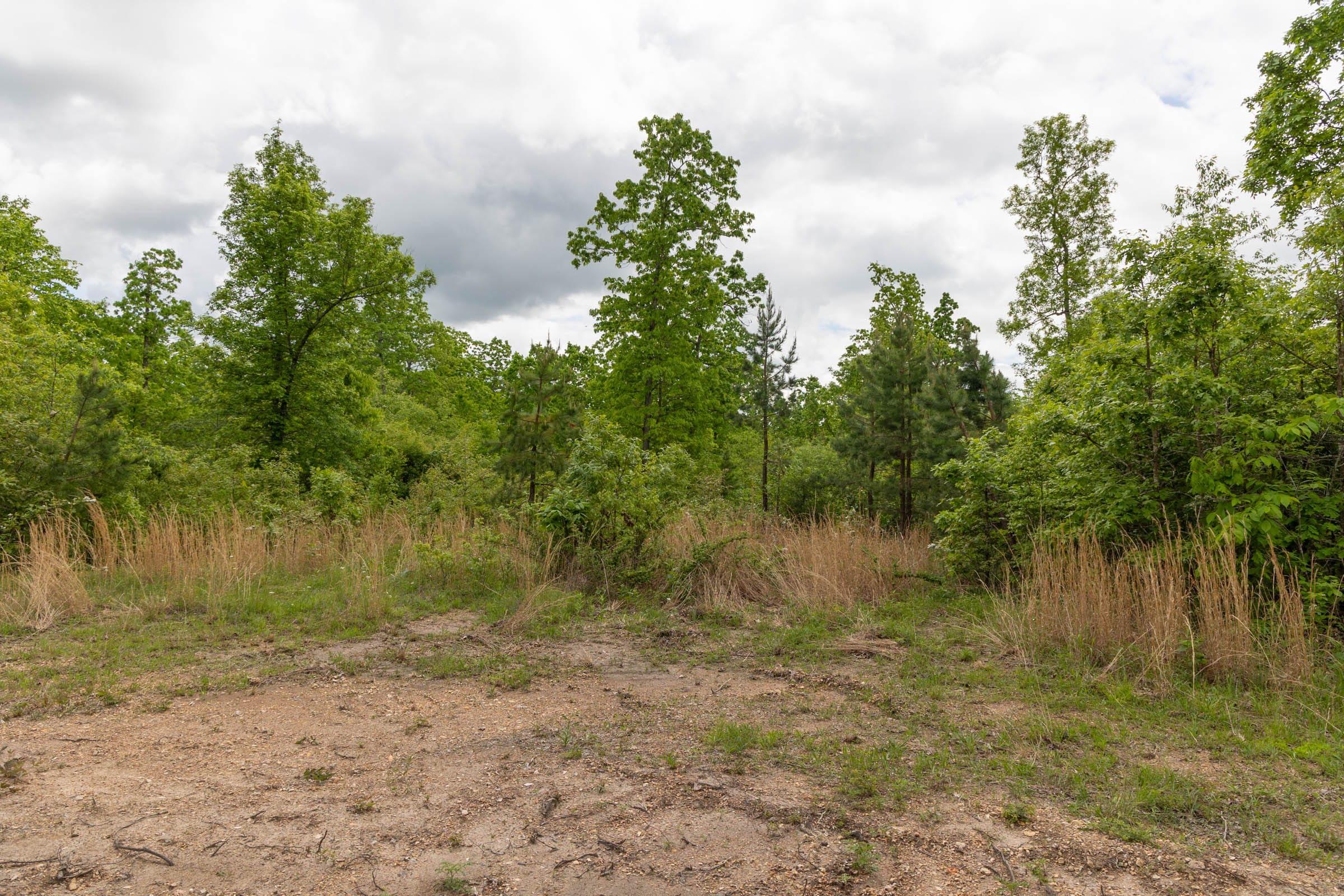 Sleepy Hollow Phase II Tract 73 photo 8