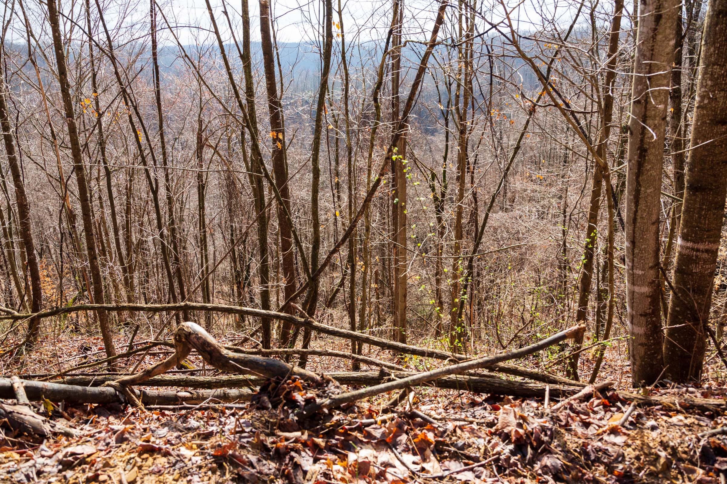 Blackstone Mountain Phase II Tract 84 photo 2