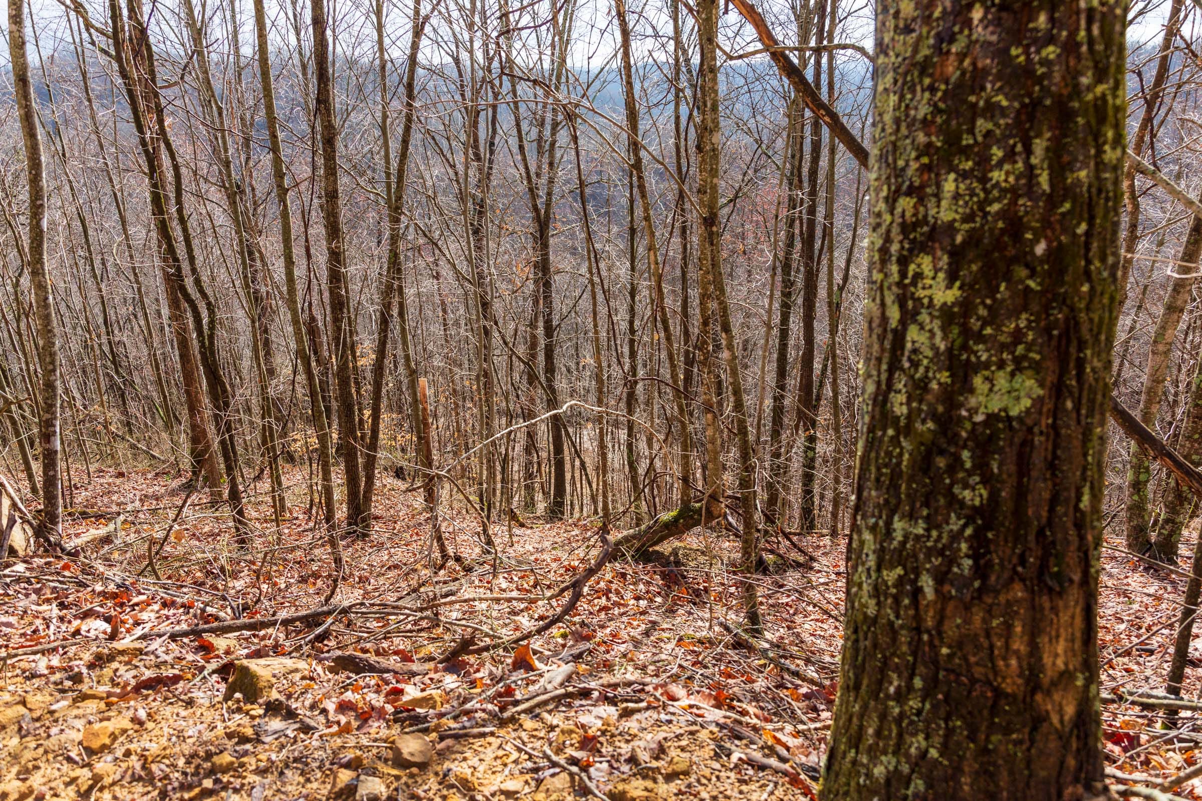 Blackstone Mountain Phase II Tract 84 photo 3