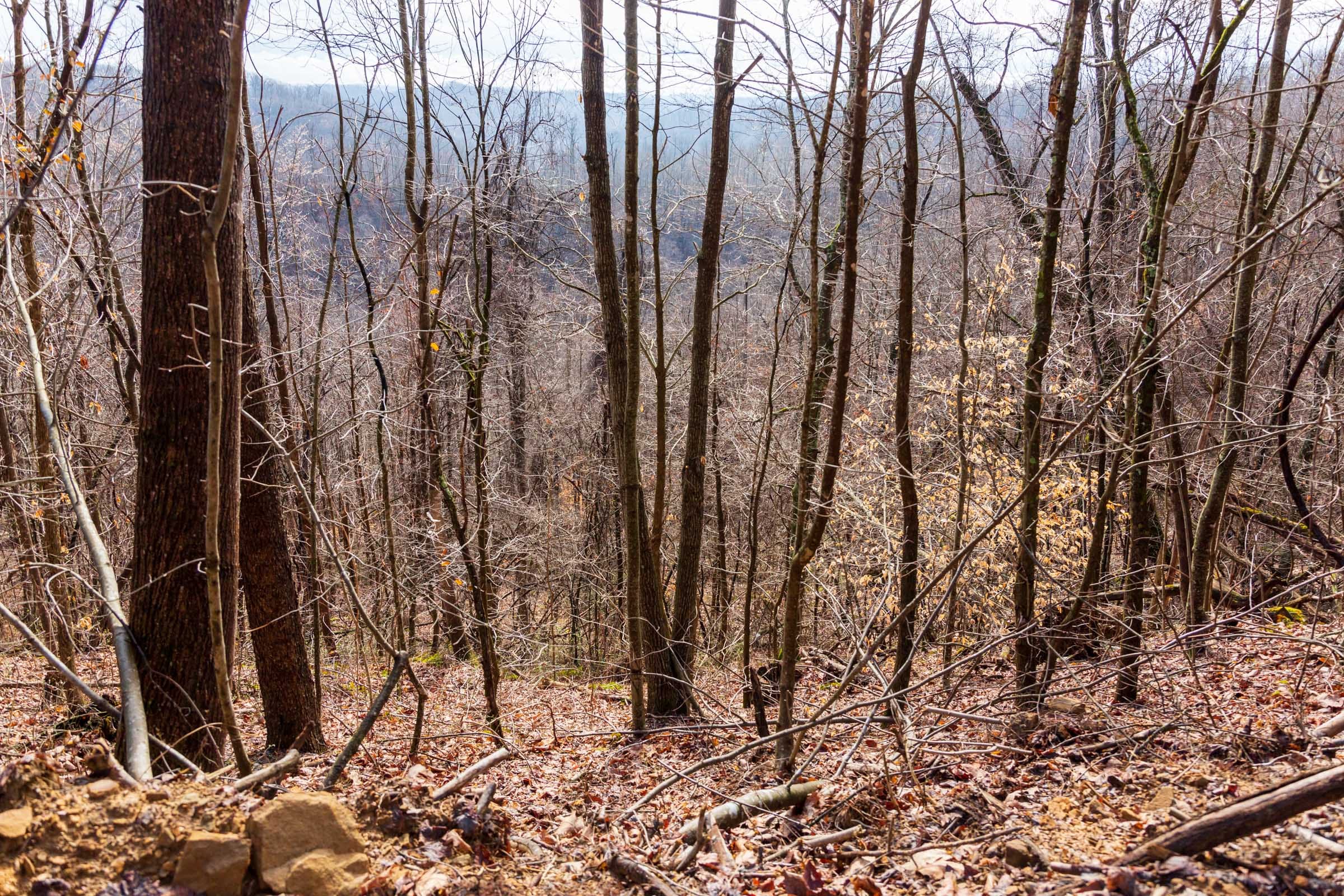 Blackstone Mountain Phase II Tract 84 photo 5