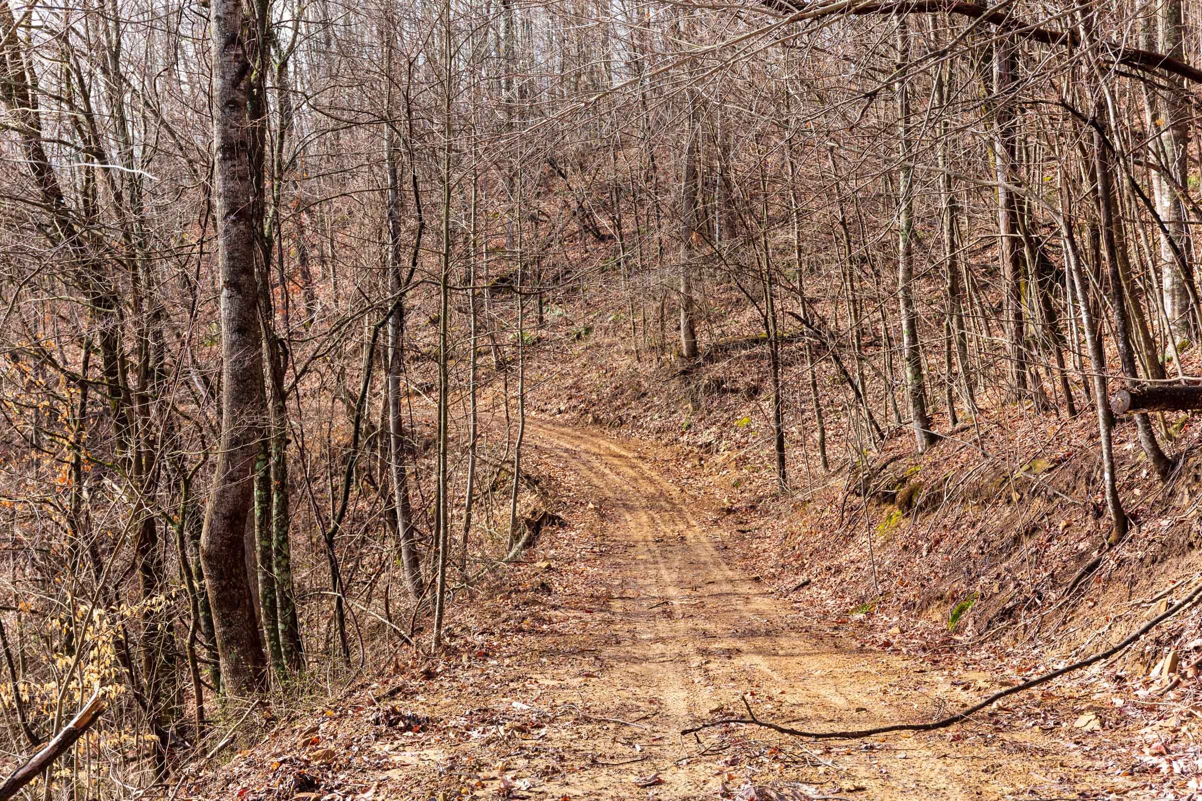 Blackstone Mountain Phase II Tract 84 photo 4