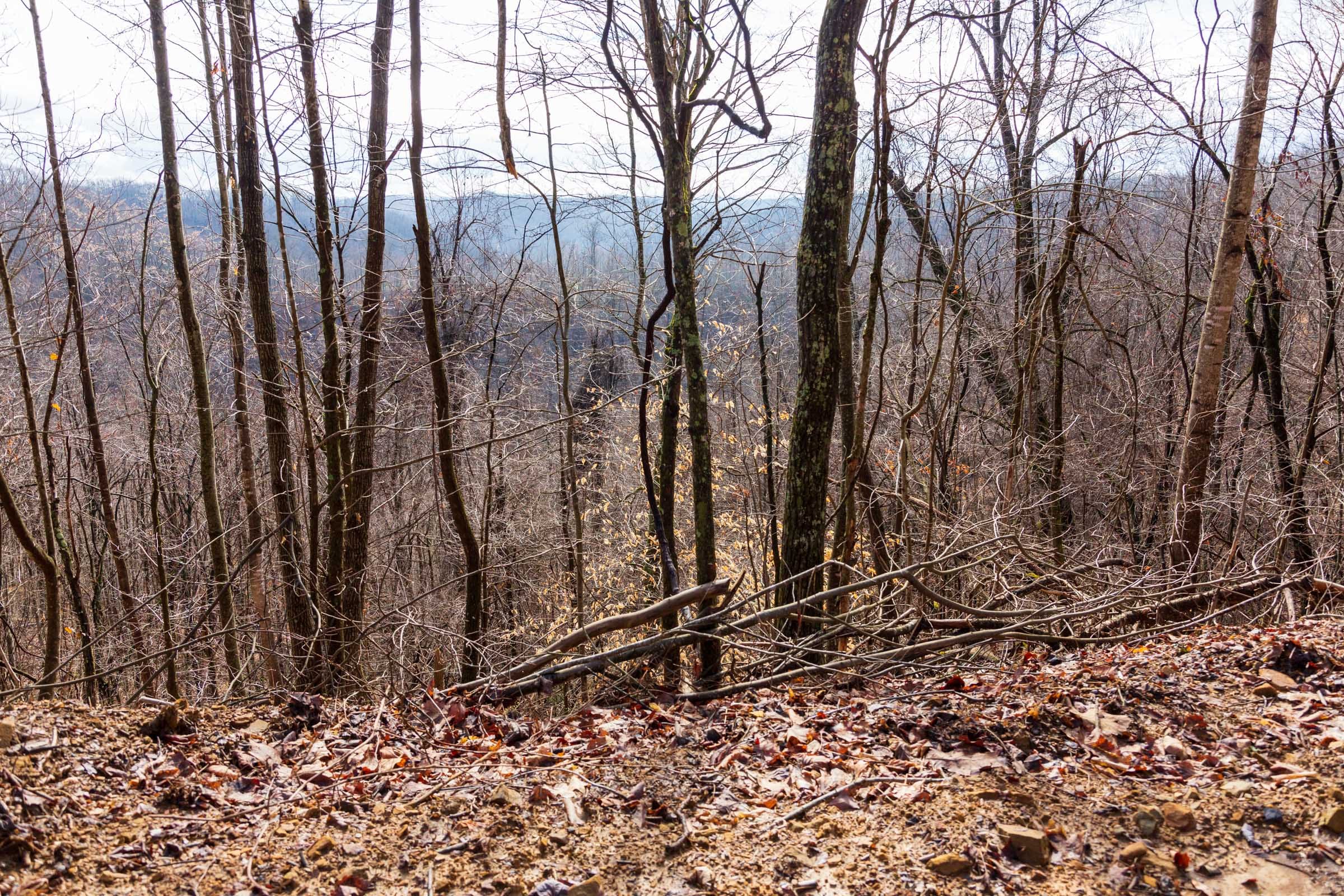 Blackstone Mountain Phase II Tract 84 photo 6