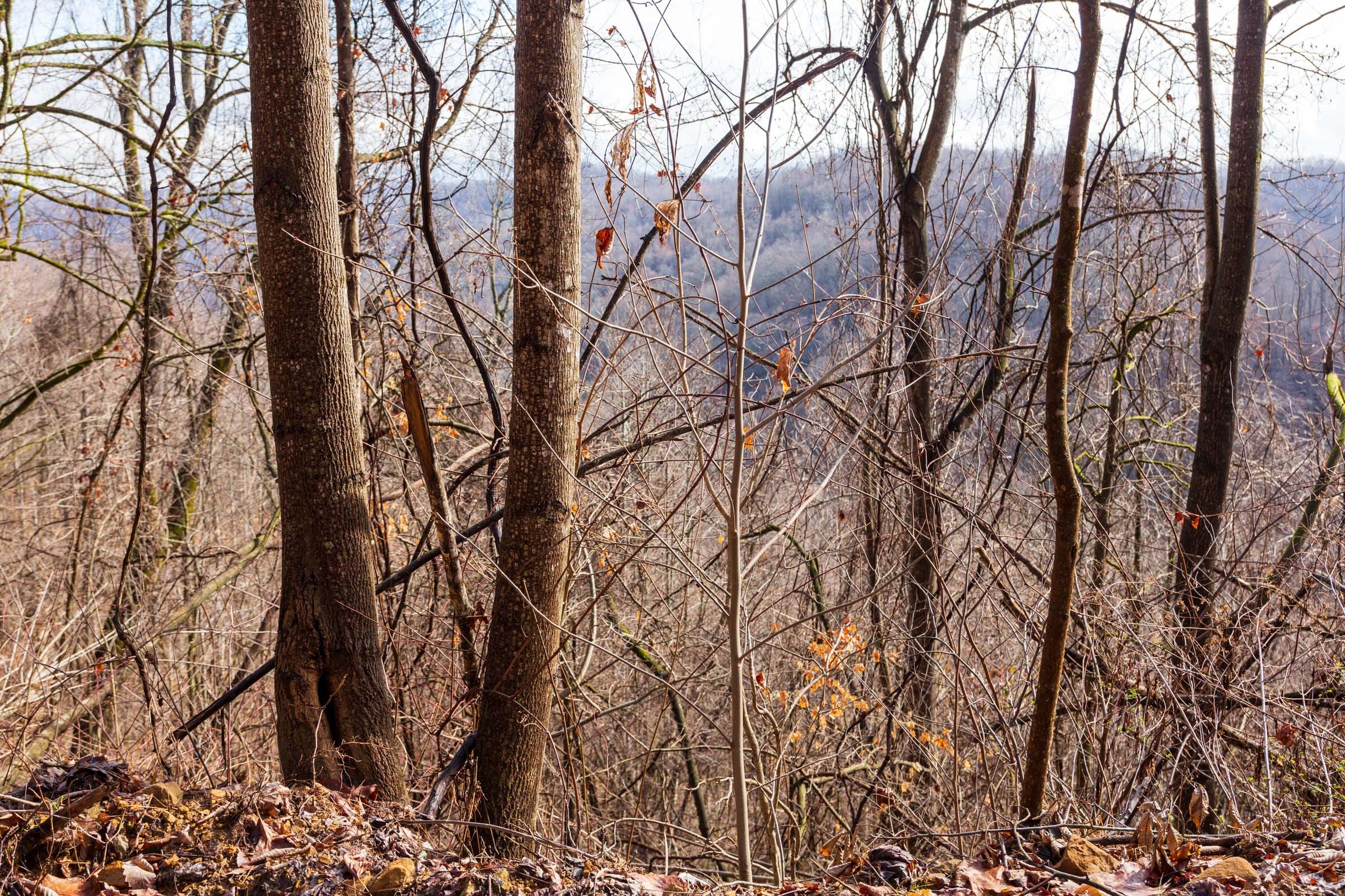 Blackstone Mountain Phase II Tract 84 photo 8