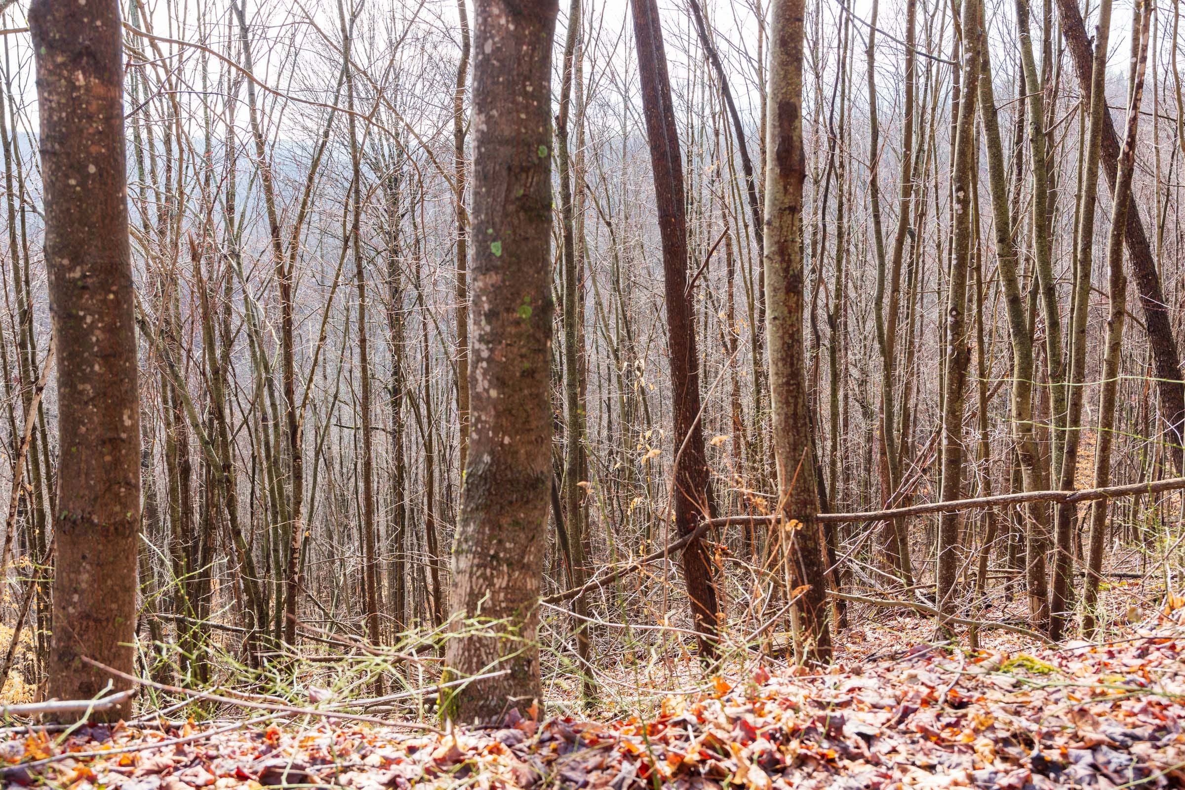 Blackstone Mountain Phase II Tract 84 photo 9